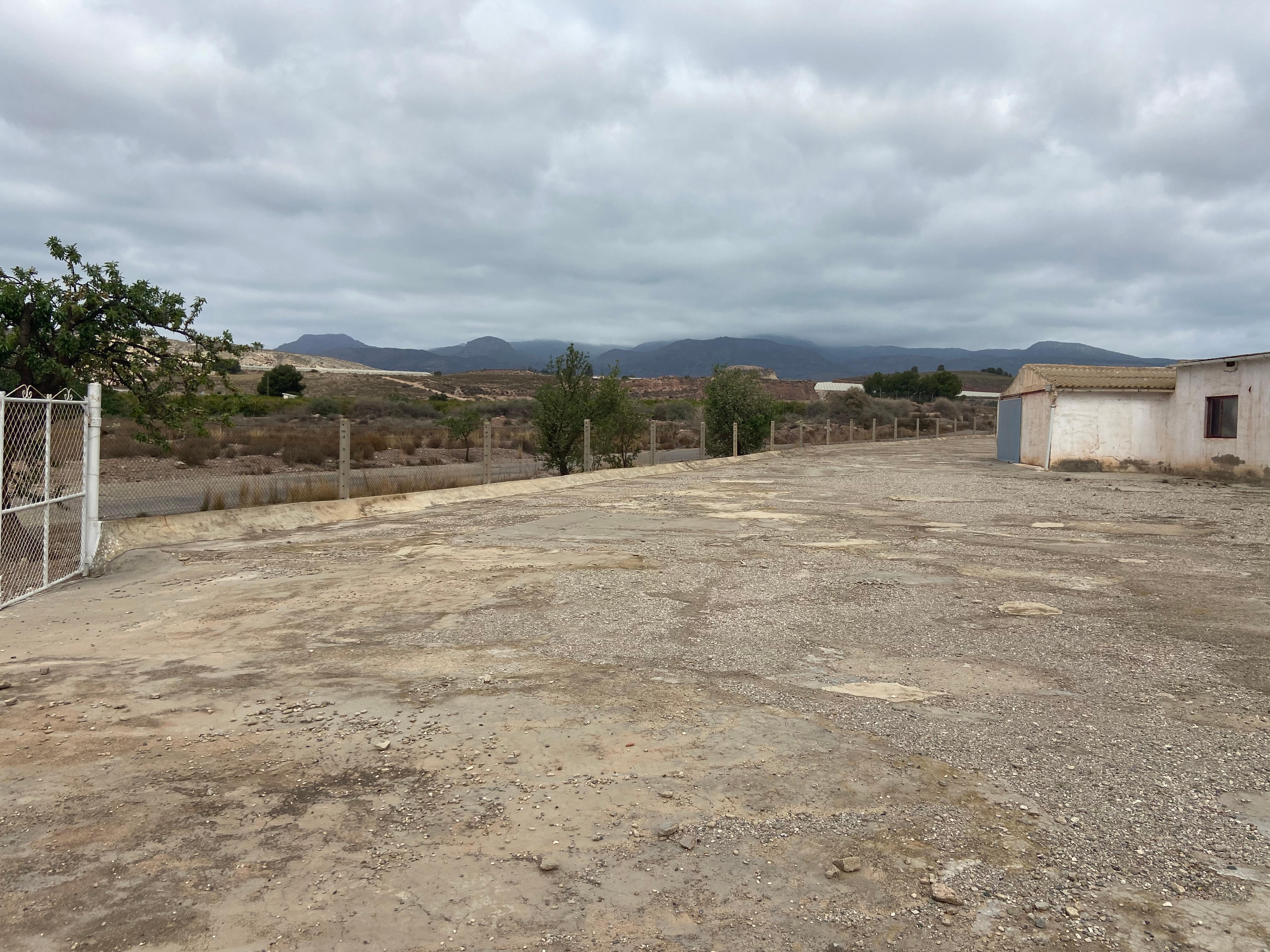 Nave Agricola Con Terreno Paraje La Costera en Totana - imagen 3