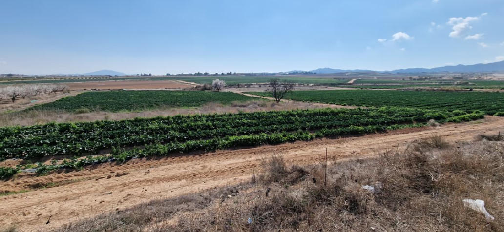 Venta Terreno El Raiguero