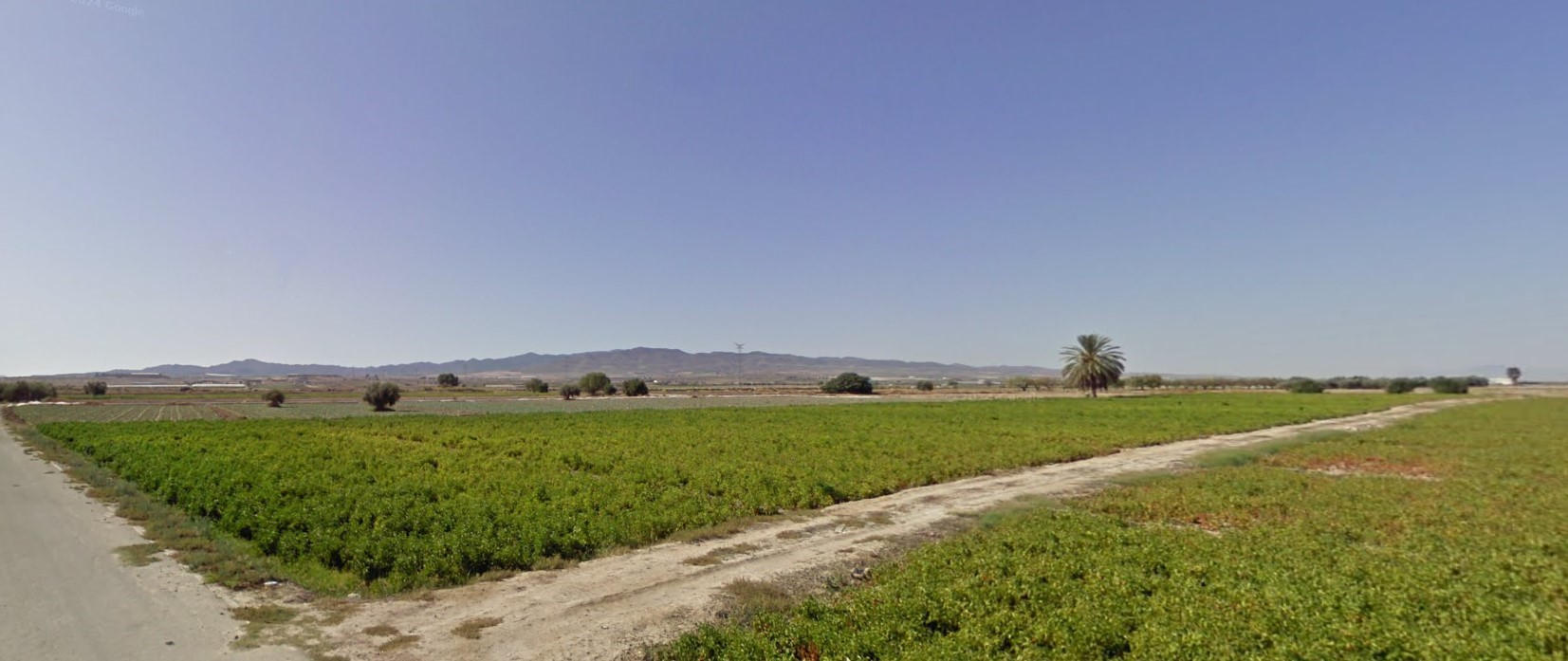 Venta Parcela Rústica Zona Torremocha en Totana