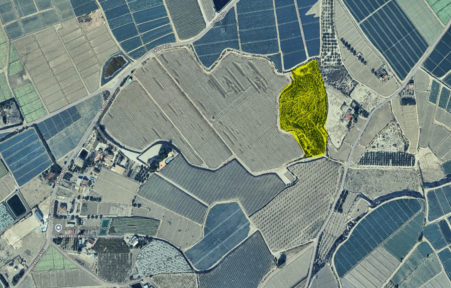 Venta Finca en Las Quebradas, Totana