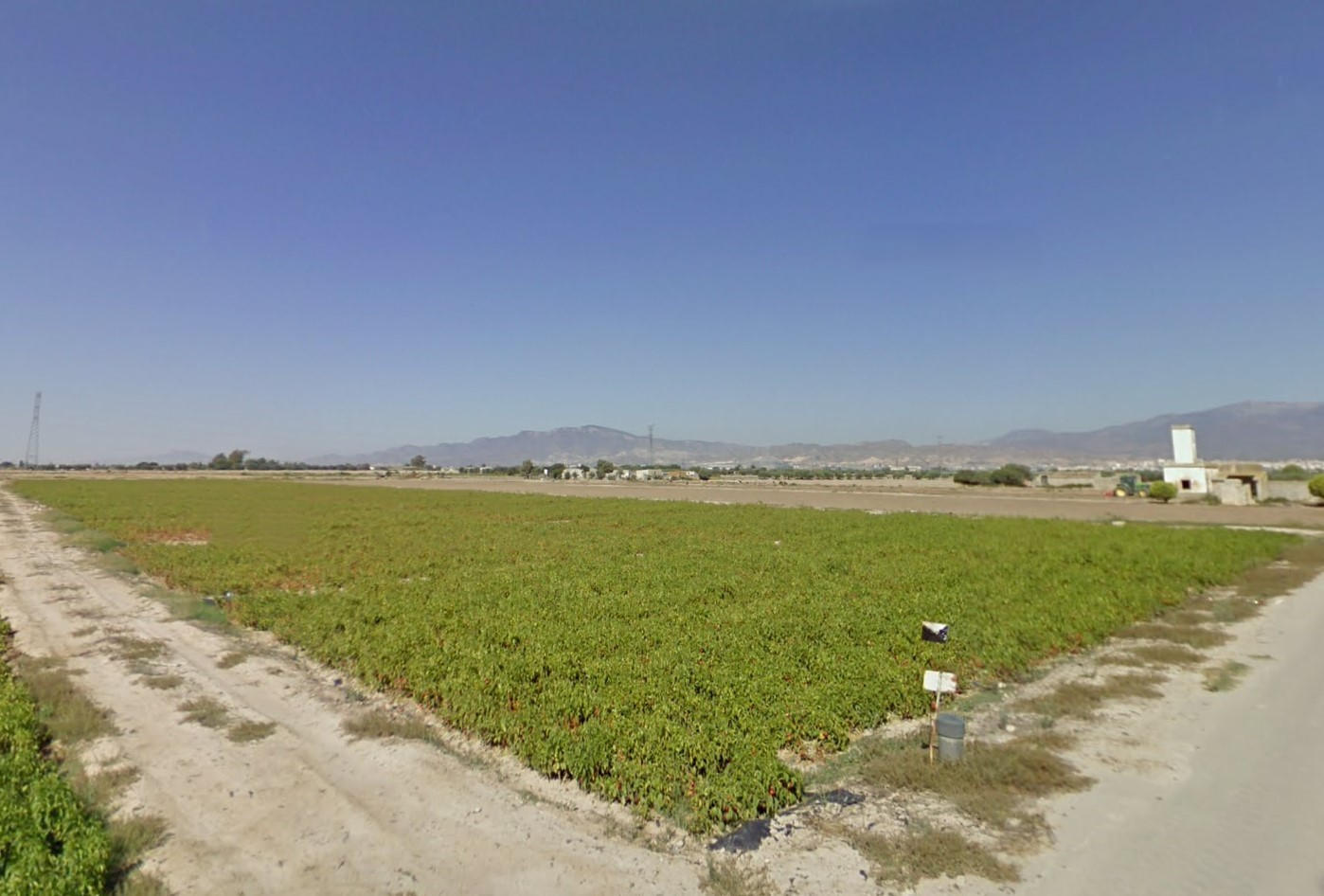 Venta Parcela Rústica Zona Torremocha en Totana - imagen 2