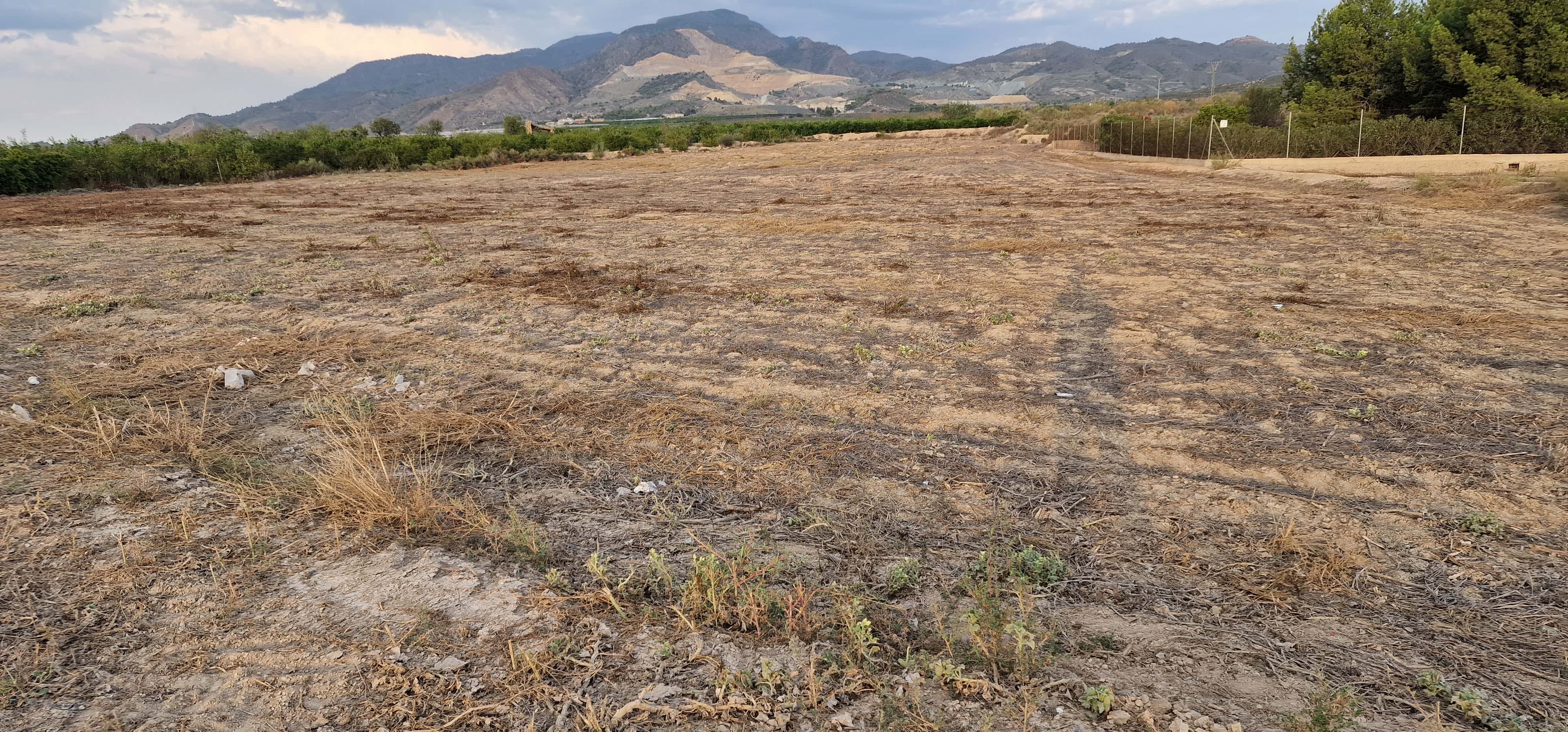 Terreno Urbanizable en Alhama de Murcia en venta - Rm-603 - imagen 4