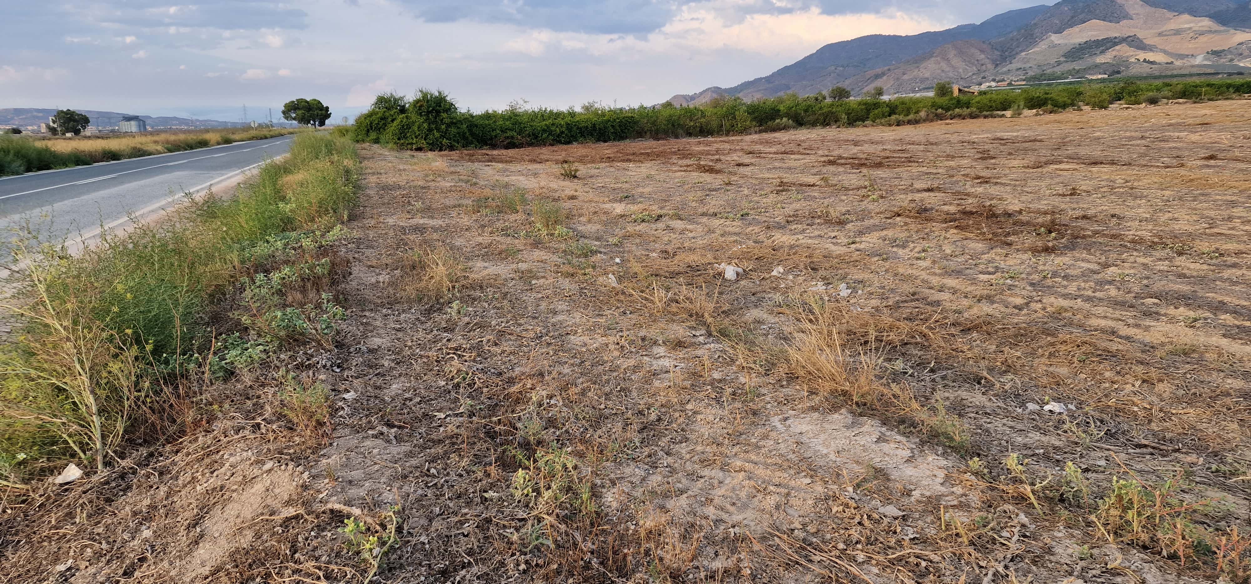 Terreno Urbanizable en Alhama de Murcia en venta - Rm-603 - imagen 6