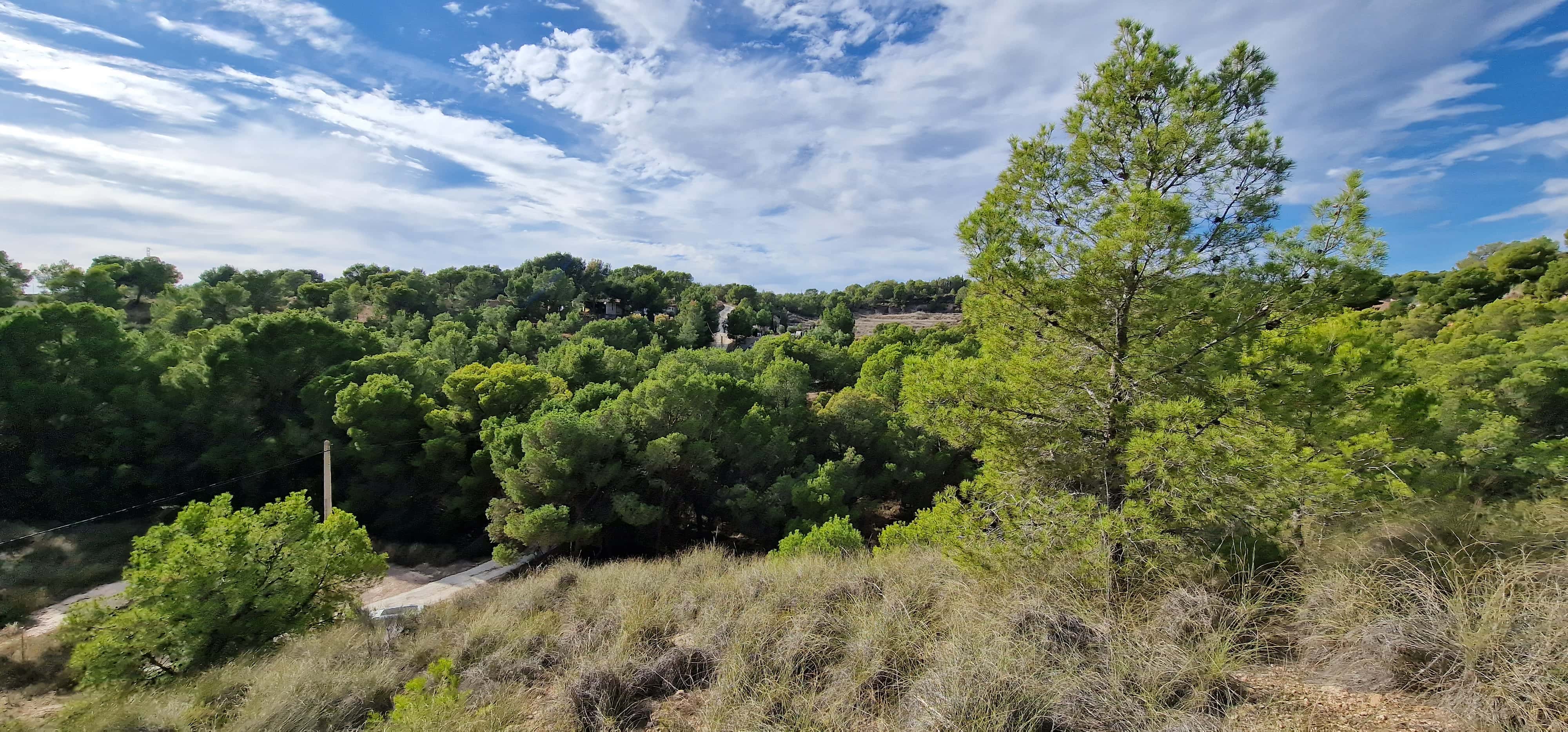 Venta Parcela Urbanizable en Totana - imagen 4