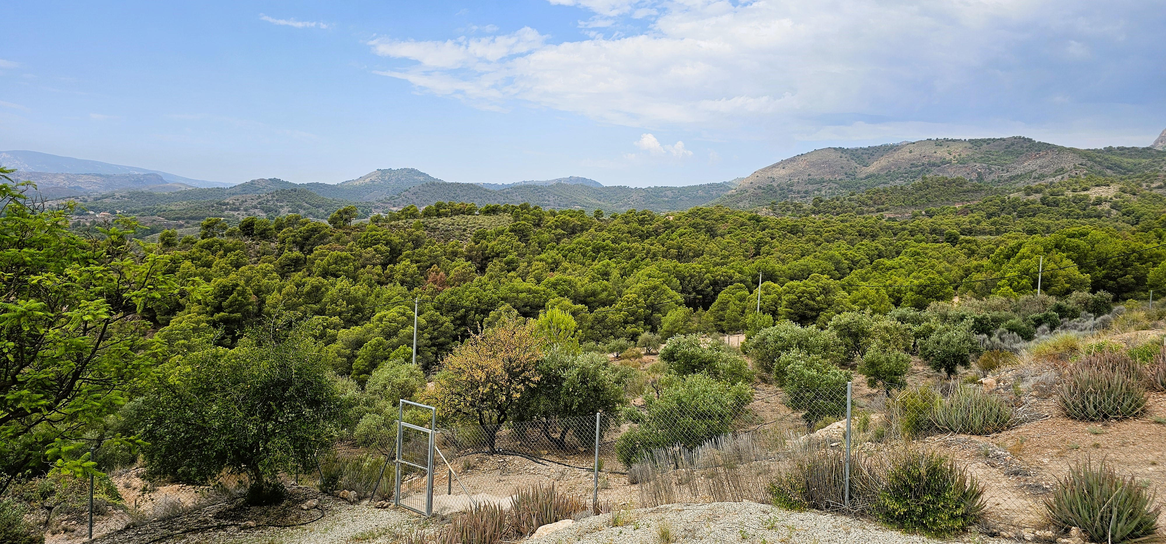 Venta Huerto En Mortí Alto, Totana - imagen 44