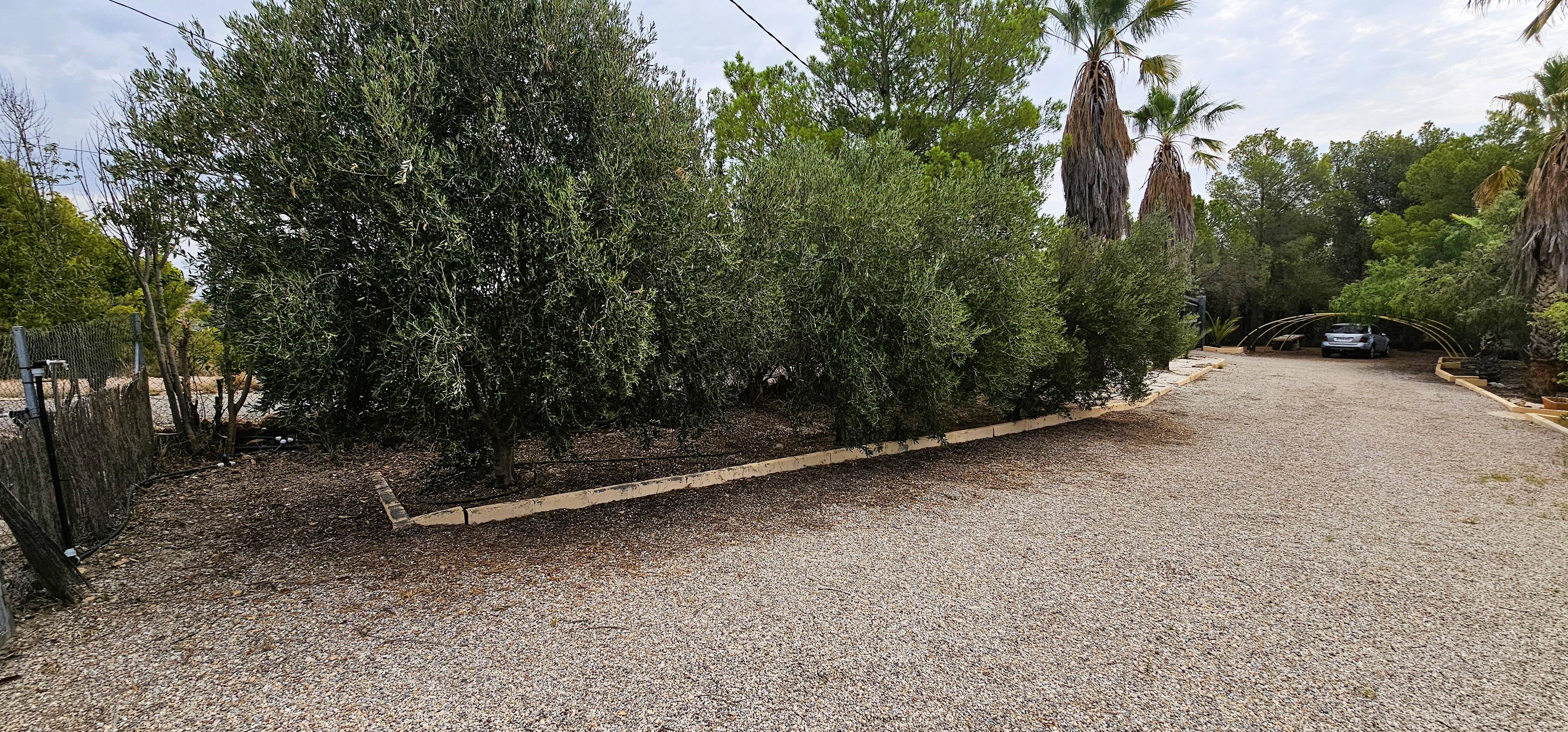 Venta Huerto En Mortí Alto, Totana - imagen 5