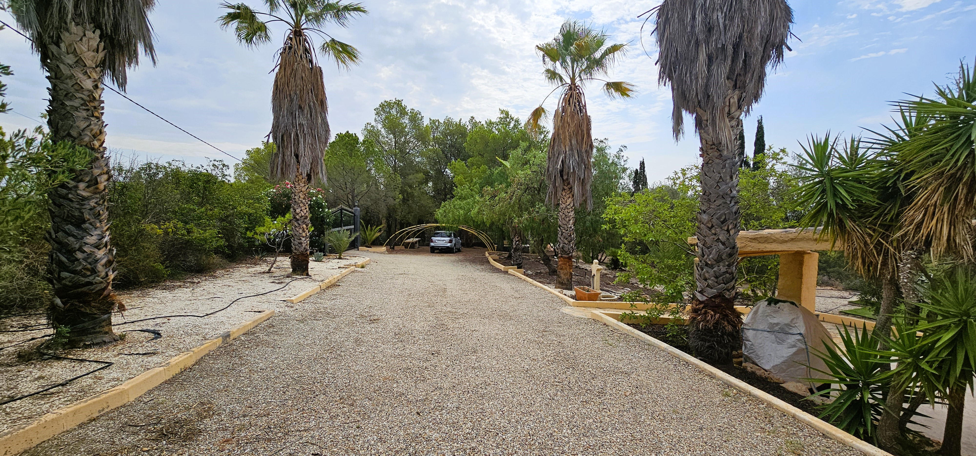 Venta Huerto En Mortí Alto, Totana - imagen 4