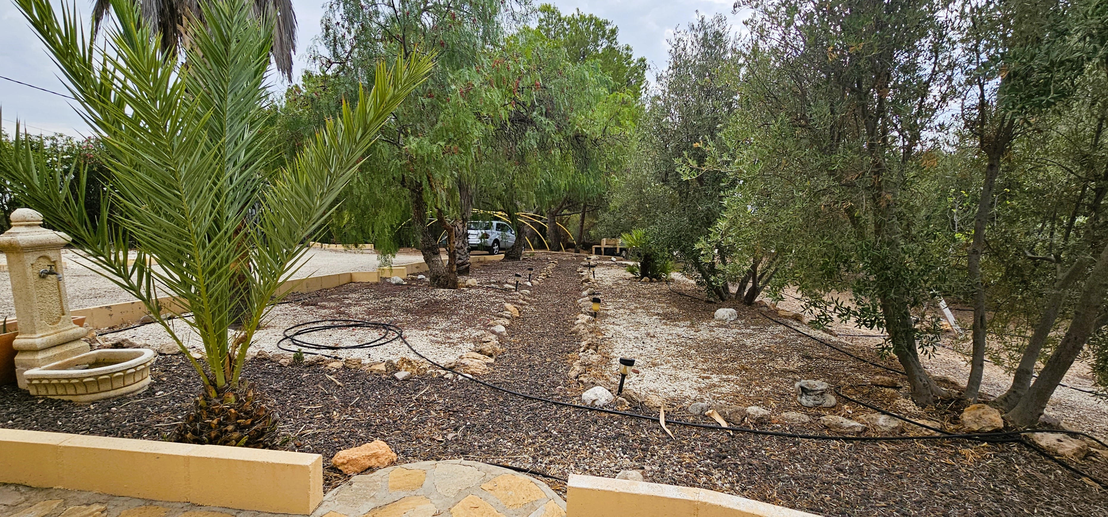 Venta Huerto En Mortí Alto, Totana - imagen 7