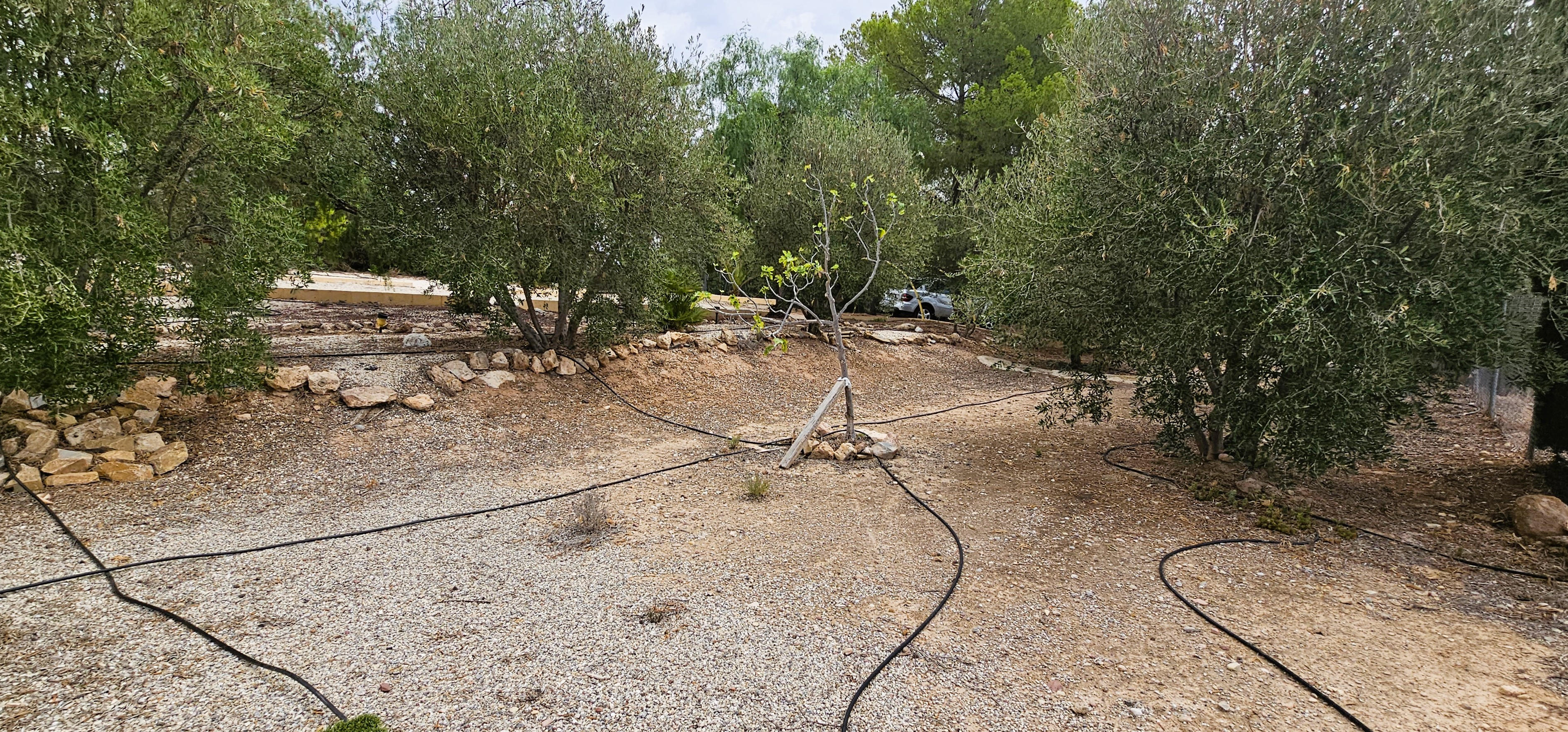 Venta Huerto En Mortí Alto, Totana - imagen 8