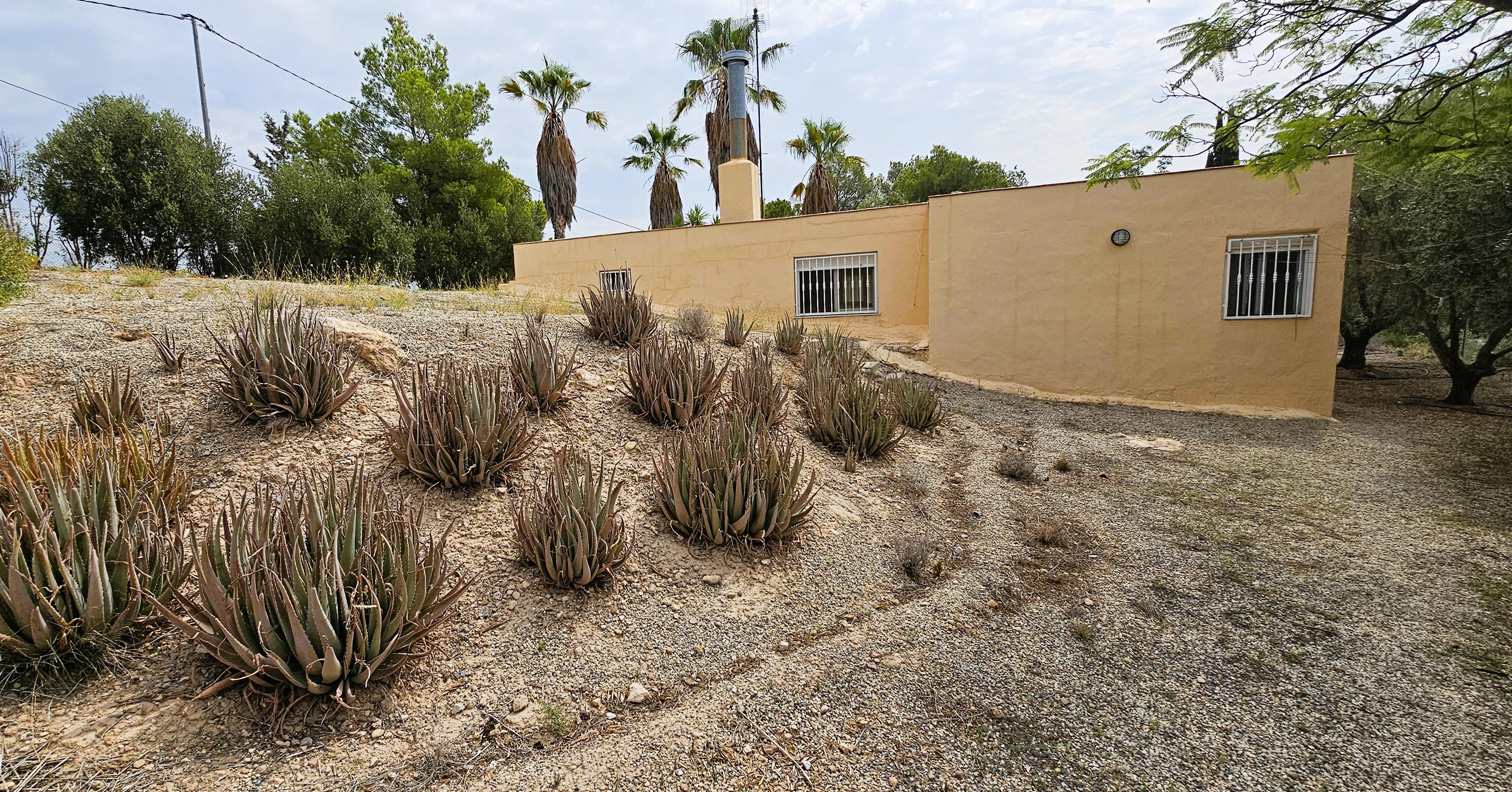 Venta Huerto En Mortí Alto, Totana - imagen 9