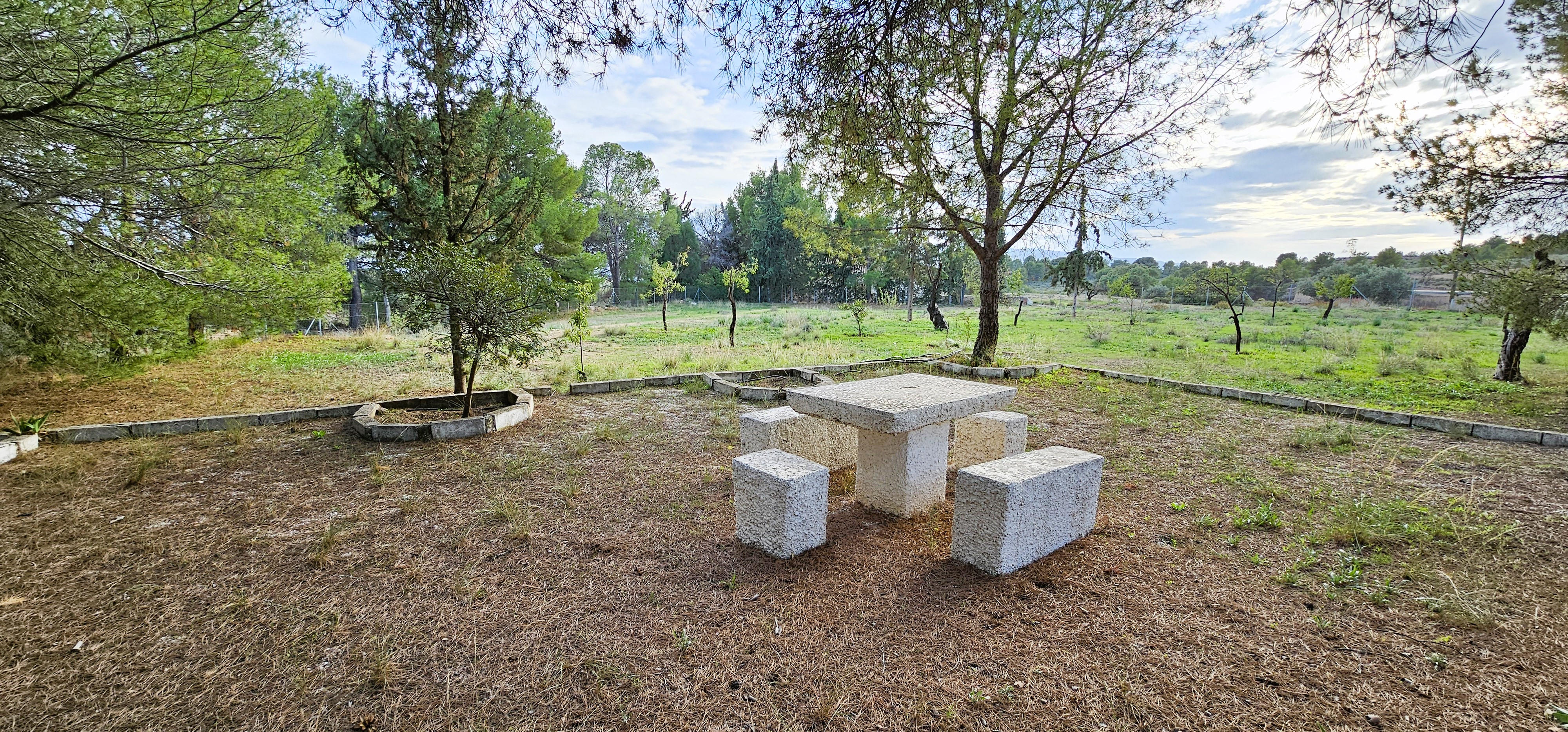 Venta Huerto en Las Alquerías, Totana - imagen 34