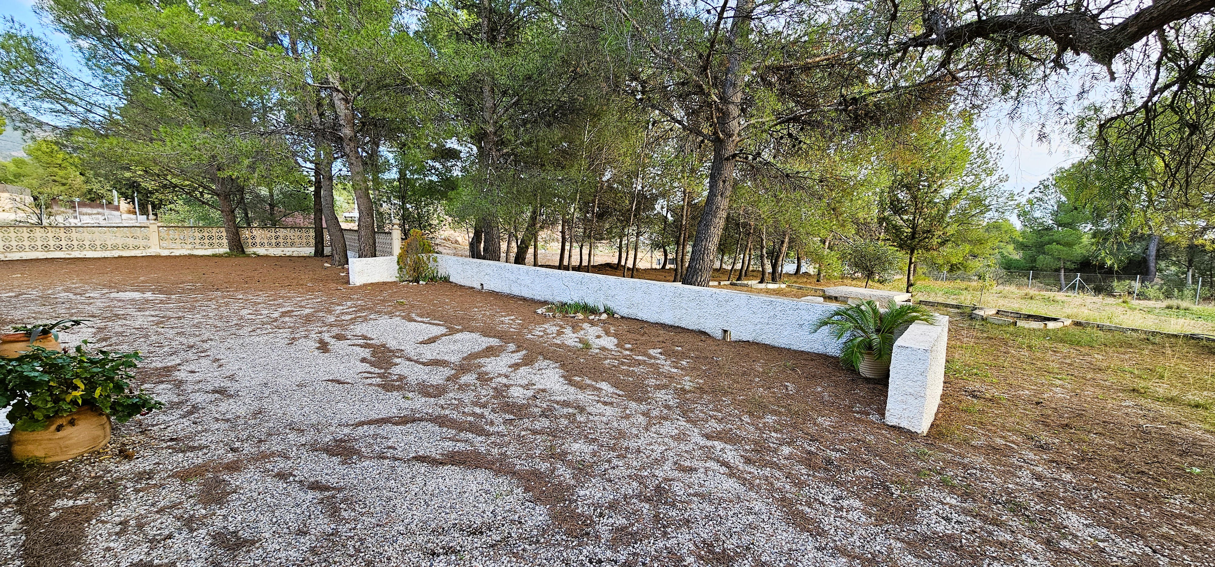 Venta Huerto en Las Alquerías, Totana - imagen 35