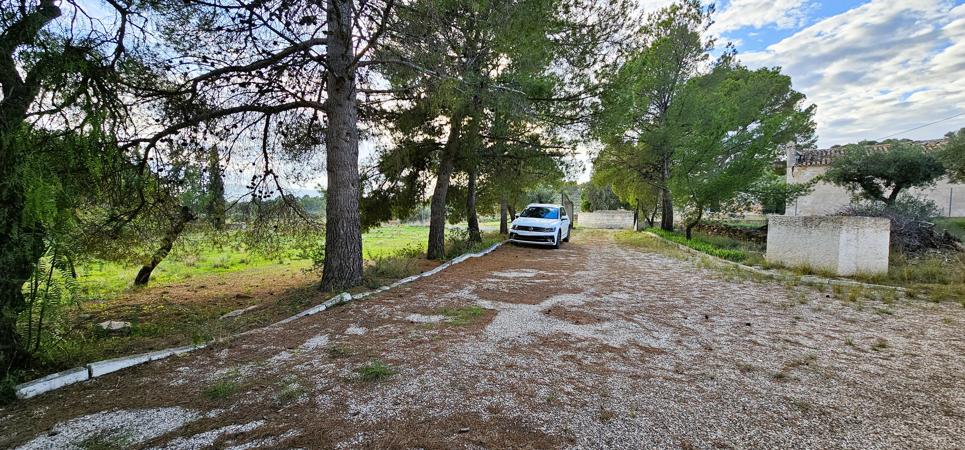 Venta Huerto en Las Alquerías, Totana - imagen 39