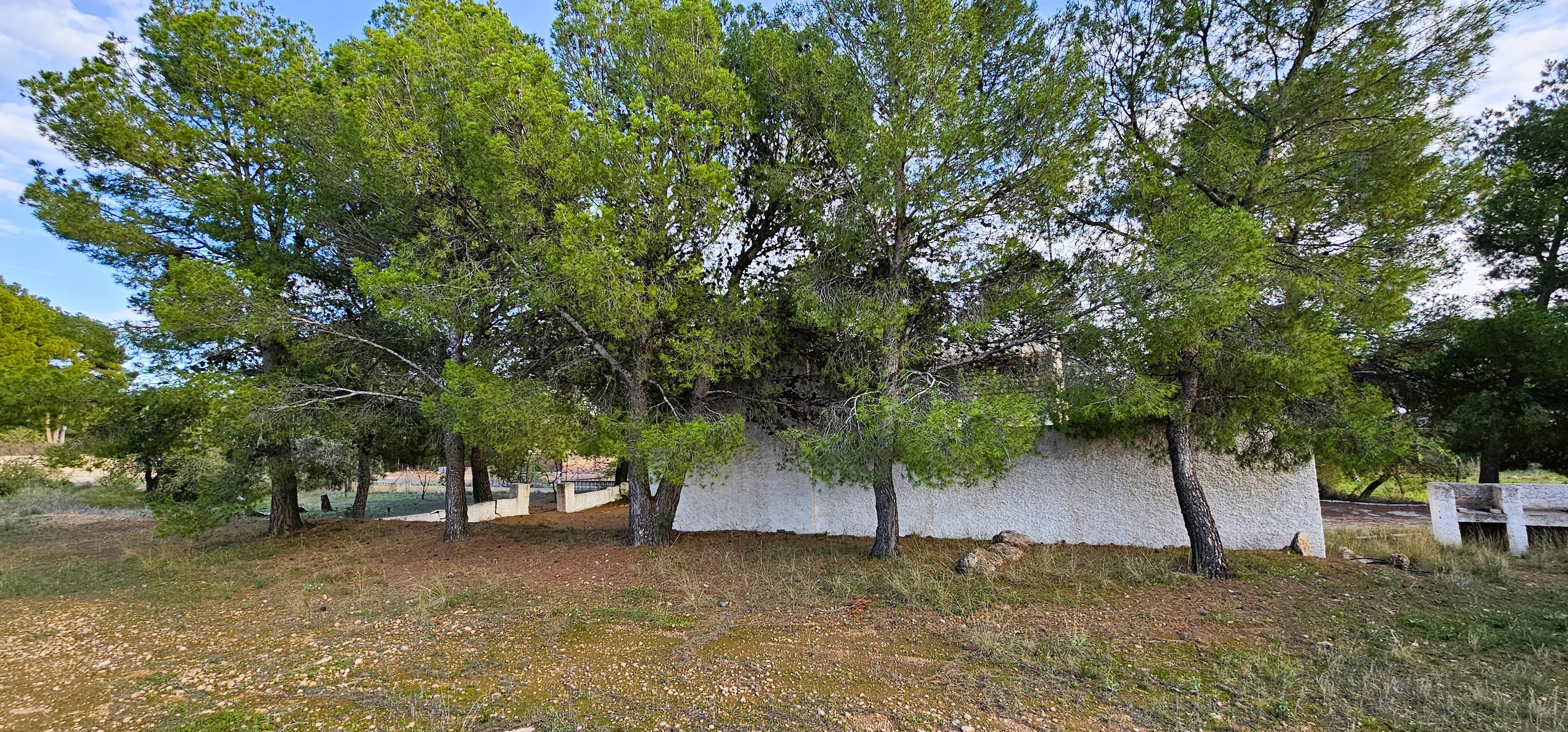 Venta Huerto en Las Alquerías, Totana - imagen 4