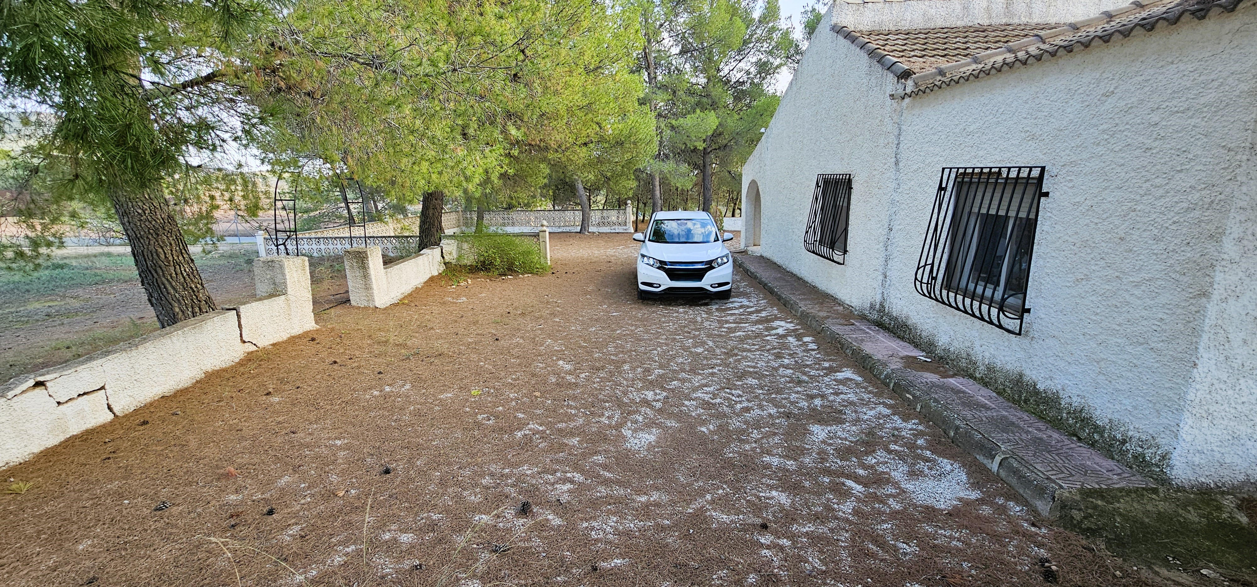 Venta Huerto en Las Alquerías, Totana - imagen 5