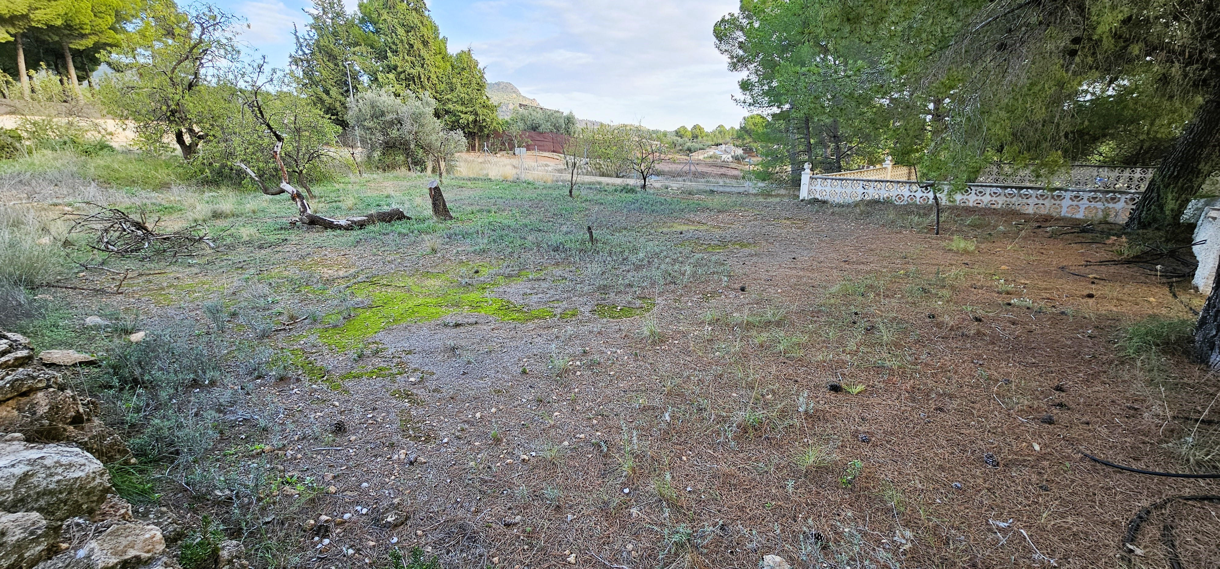 Venta Huerto en Las Alquerías, Totana - imagen 37