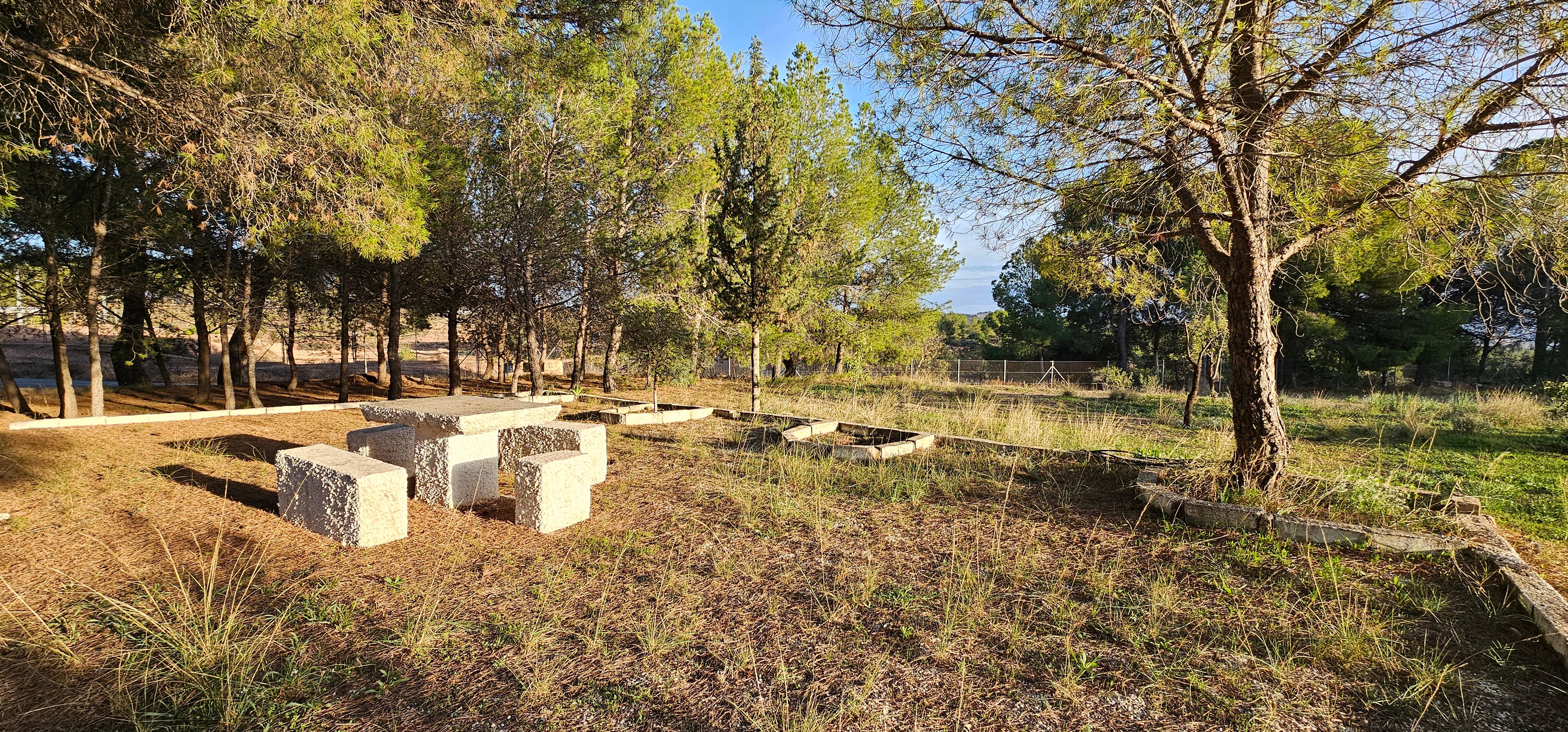 Venta Huerto en Las Alquerías, Totana - imagen 33