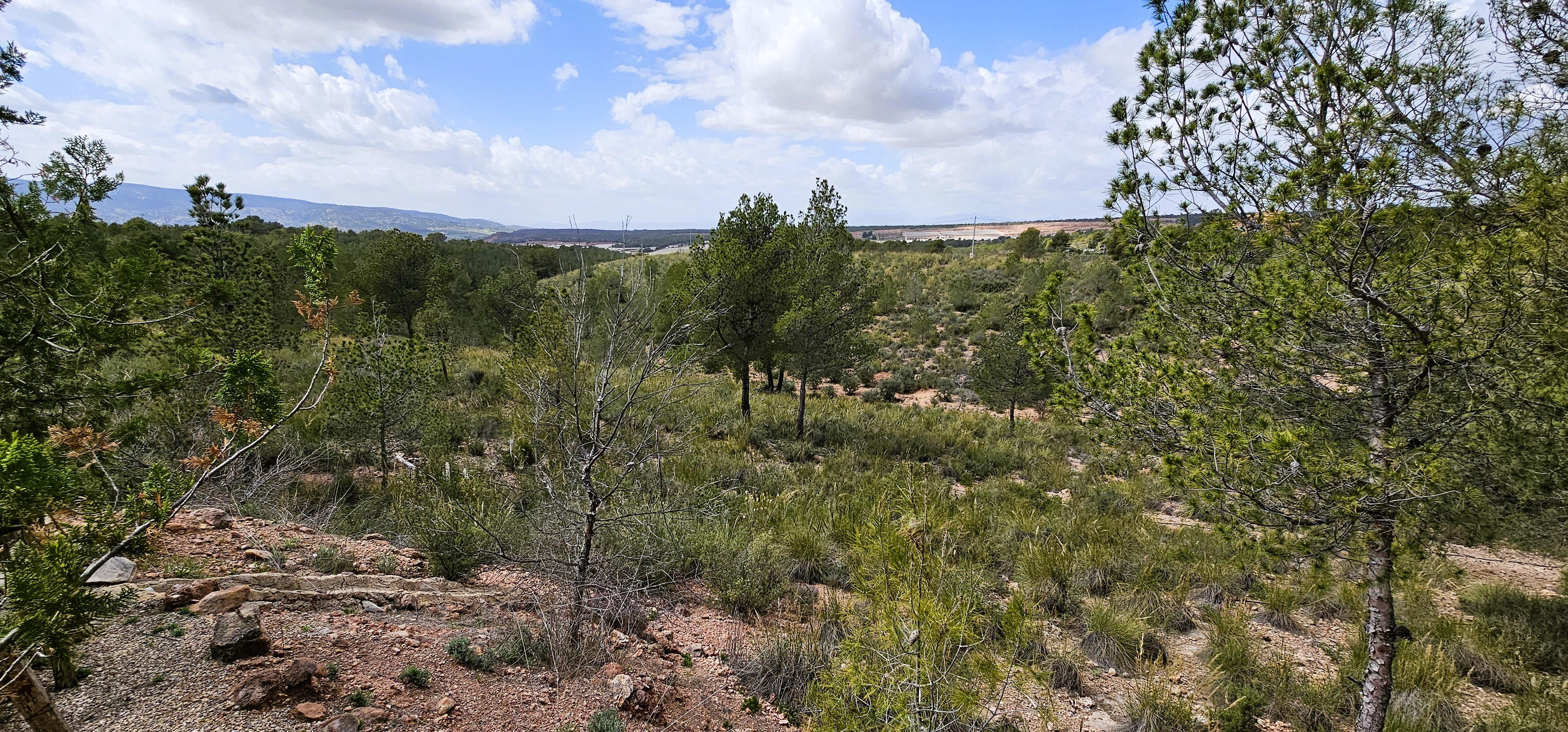 Chalet en Venta en Aledo (Murcia) - imagen 11
