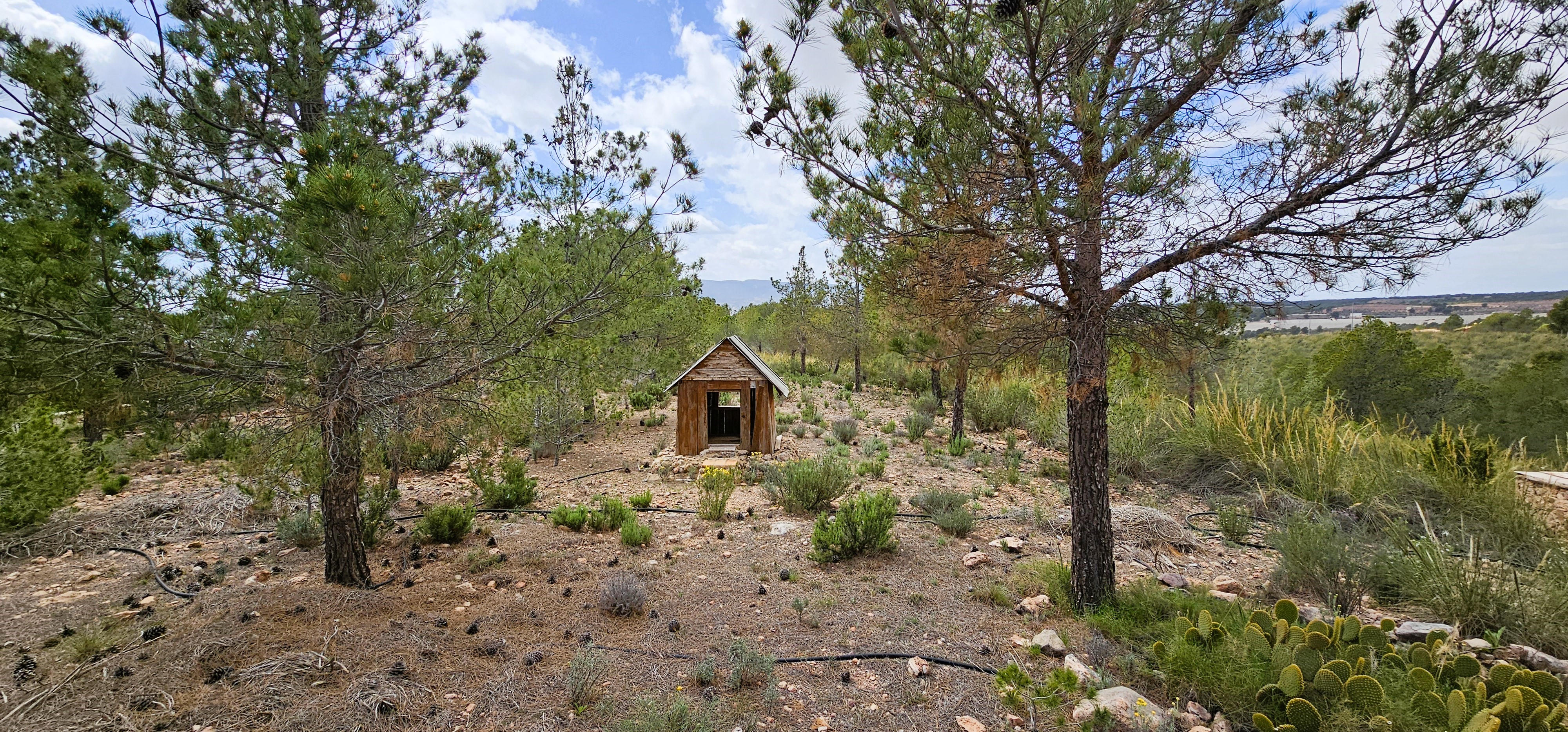 Chalet en Venta en Aledo (Murcia) - imagen 14