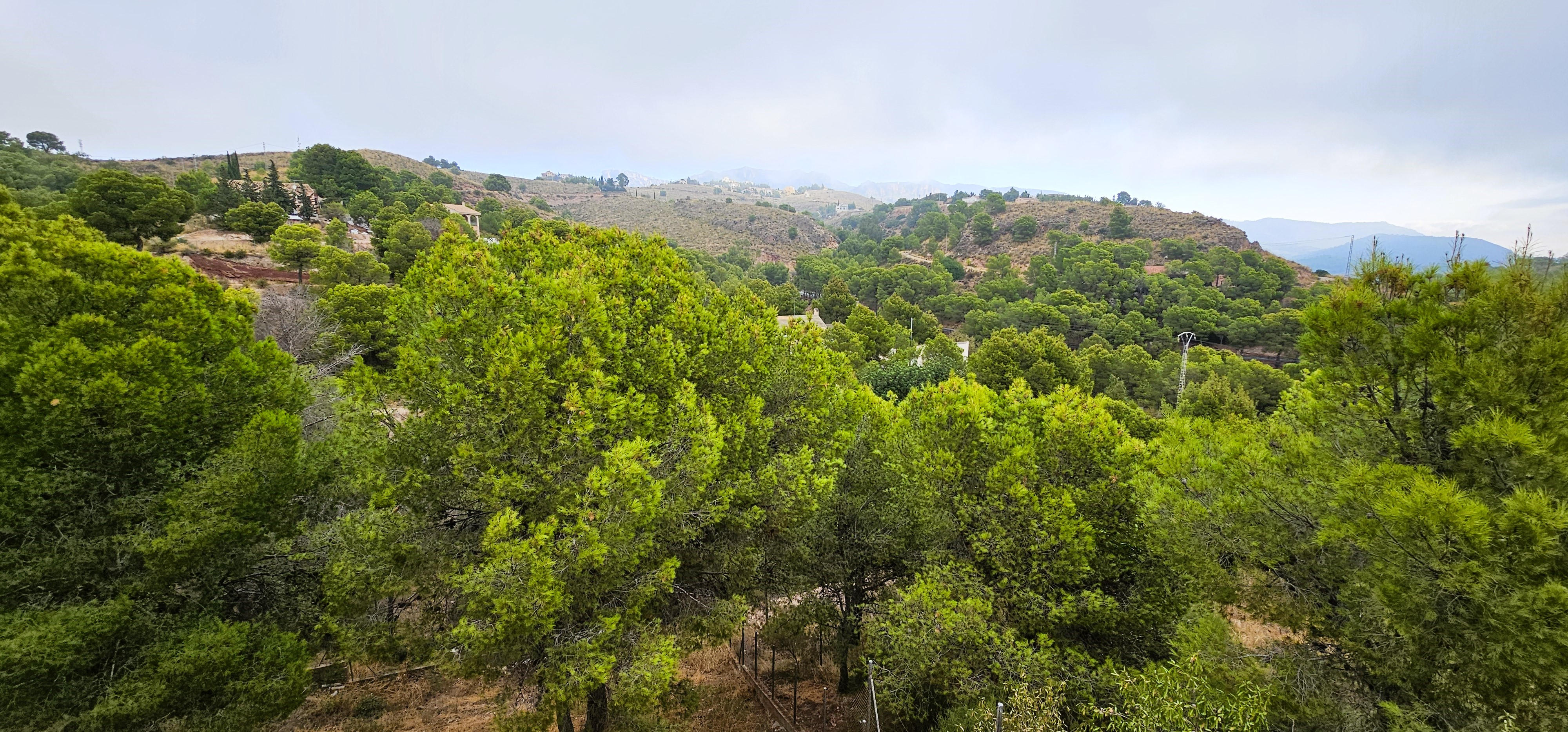 Venta Chalet en Montisol, Aledo - imagen 18