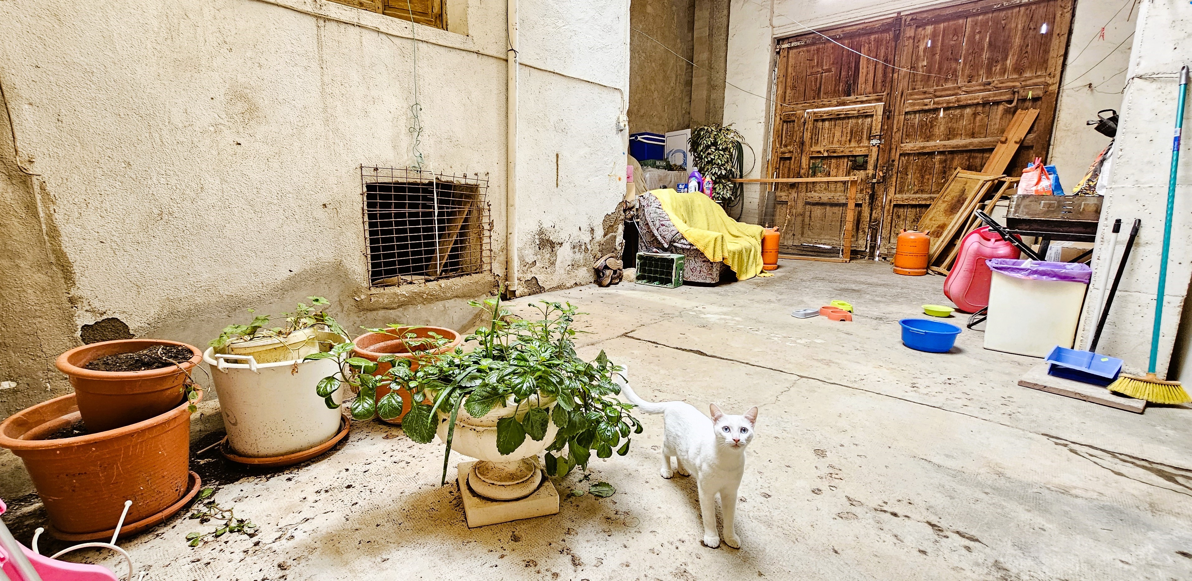 Venta Piso Planta Baja con Garaje en Totana - imagen 15