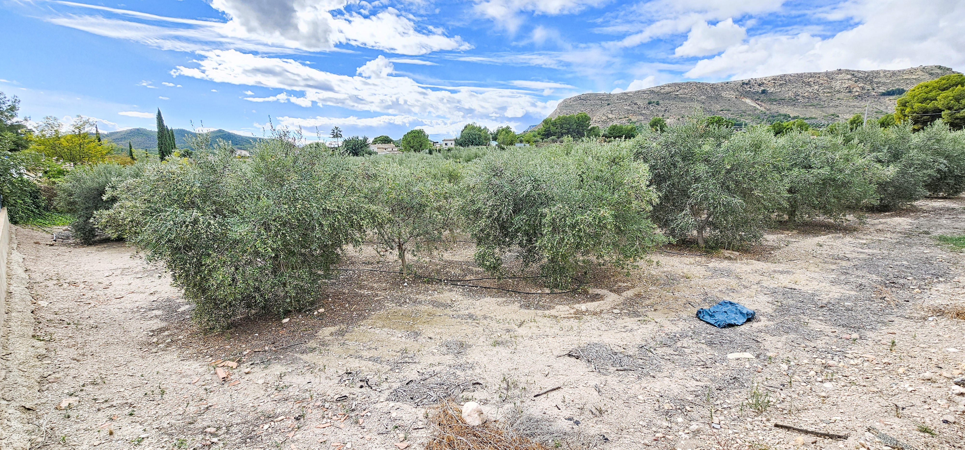 Venta Terreno en Camino Caparros, Totana - imagen 3