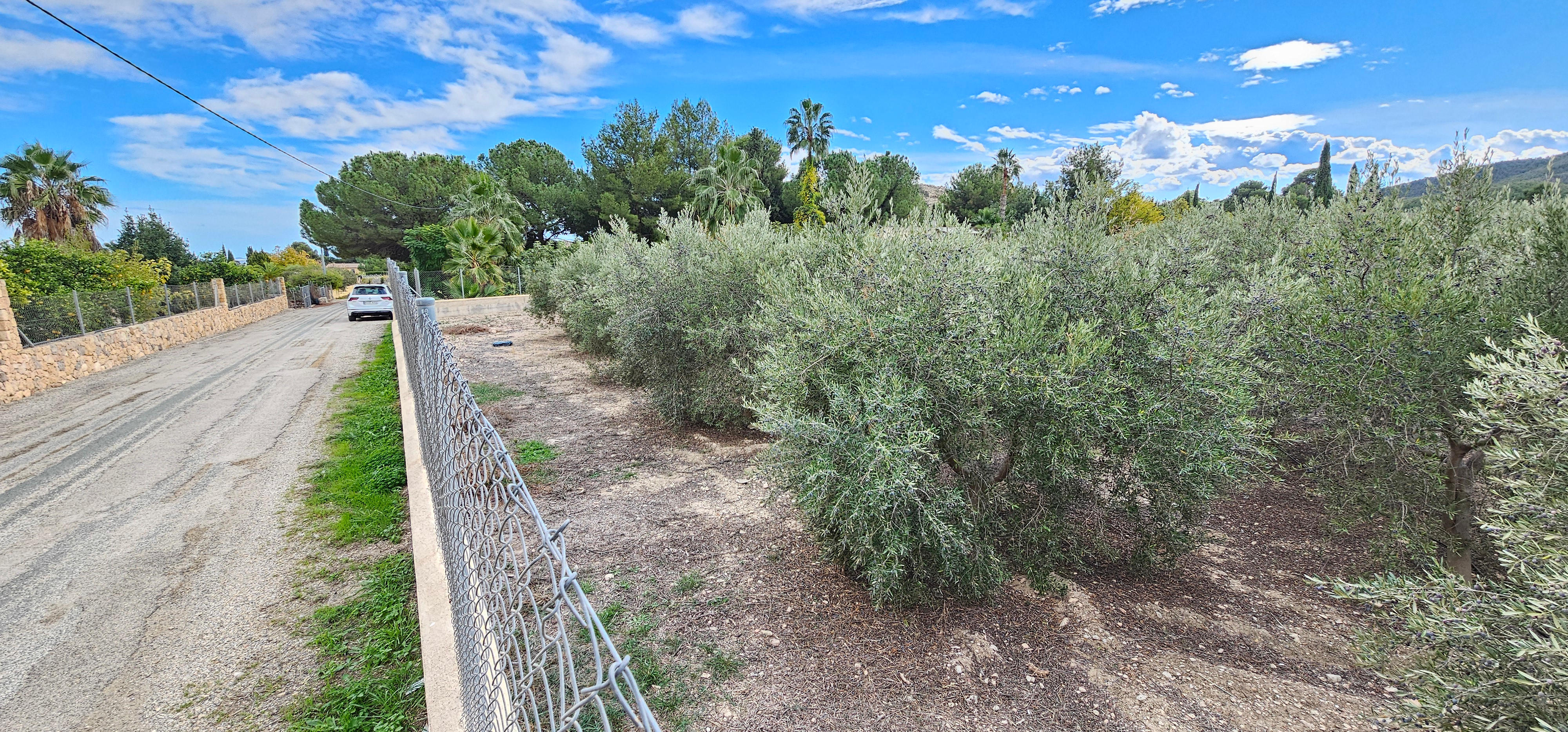 Venta Terreno en Camino Caparros, Totana - imagen 6