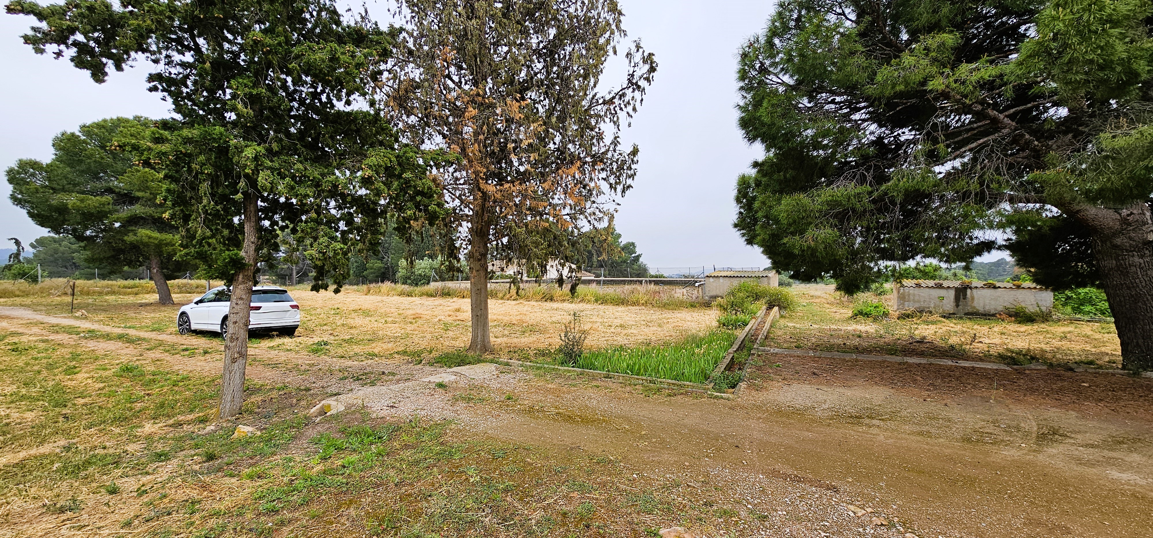 Venta Finca Rústica en Sierra Espuña, Totana - imagen 24