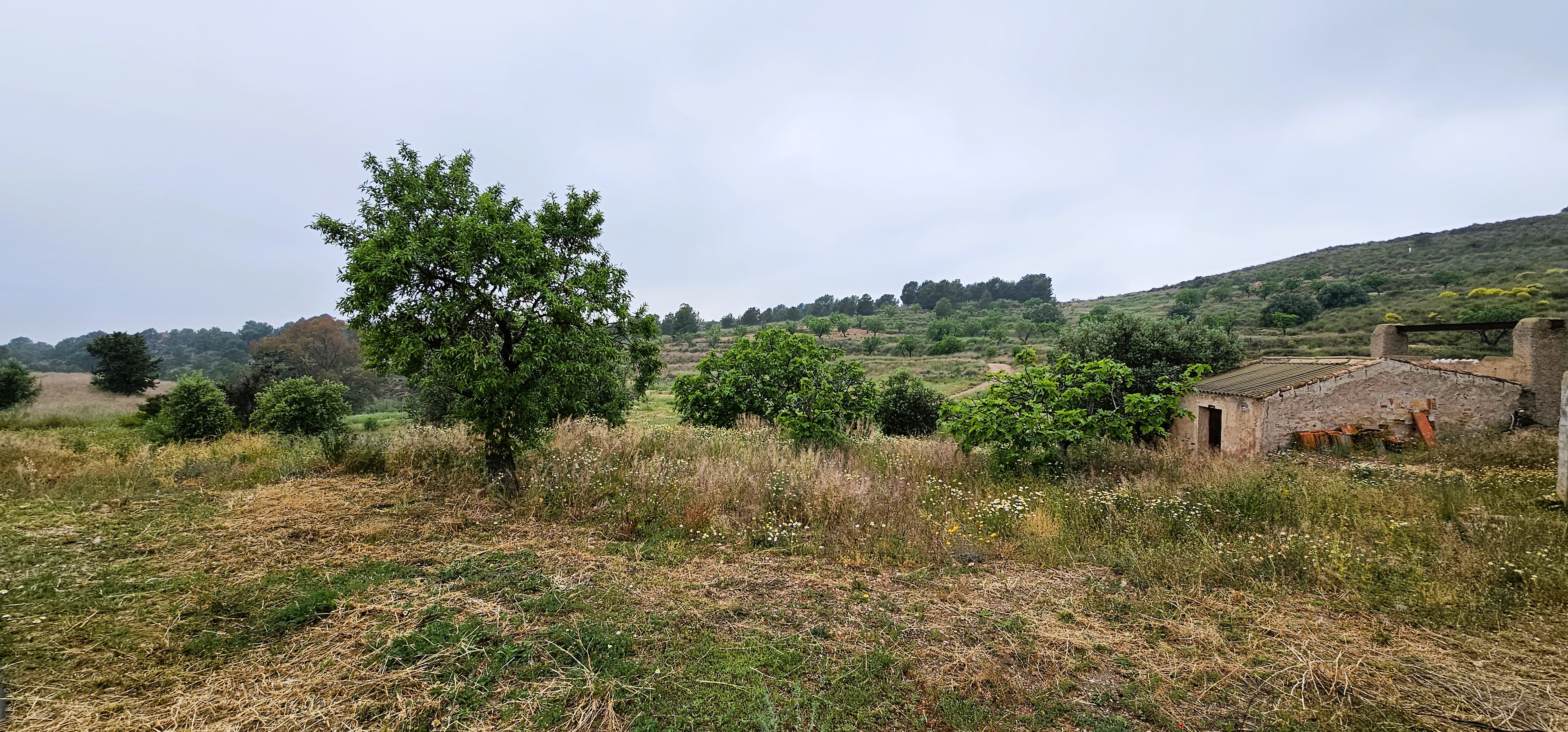 Venta Finca Rústica en Sierra Espuña, Totana - imagen 18
