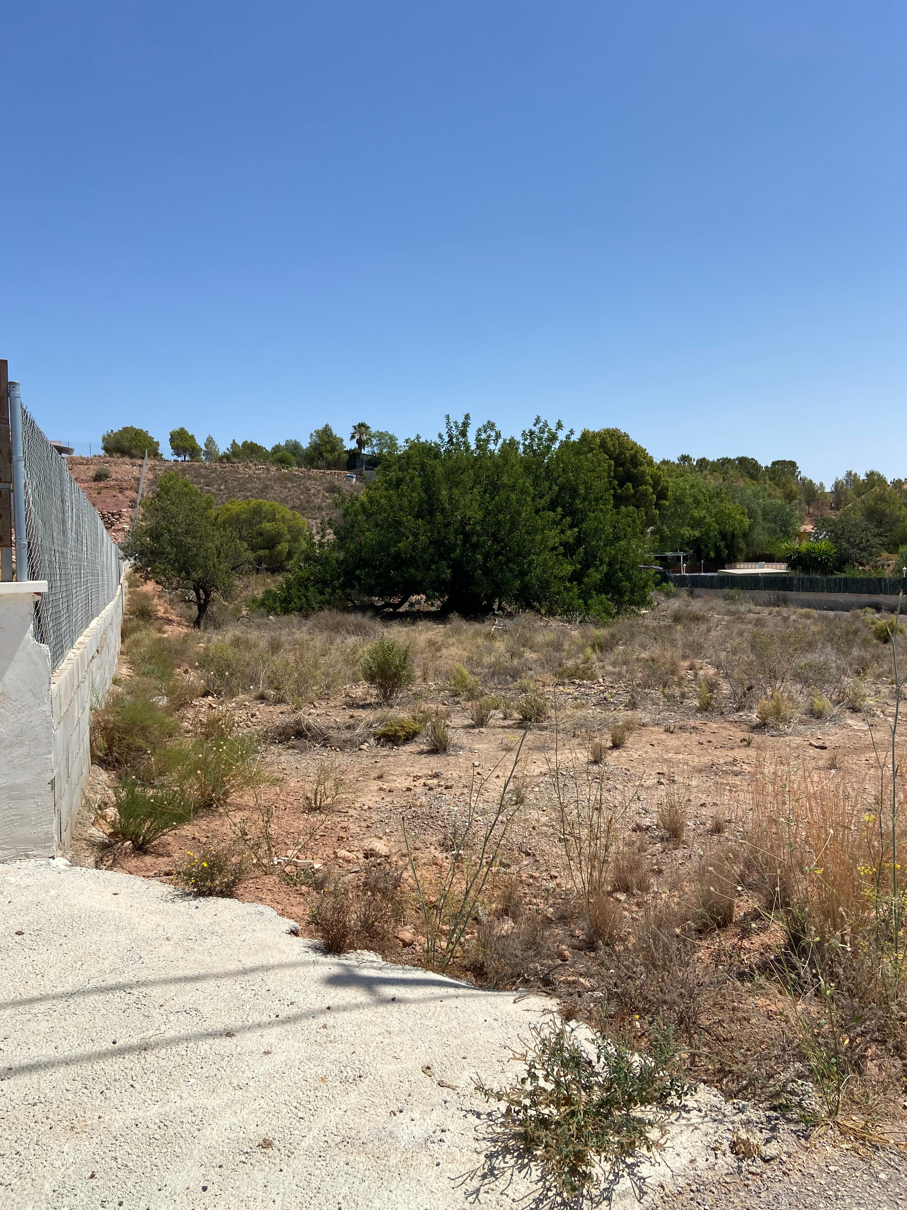 Venta Parcela Rústica en Cañada Hermosa, Totana - imagen 5