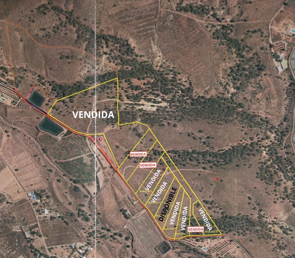 Venta Última Parcela Edificable en Los Jaboneros - imagen 3