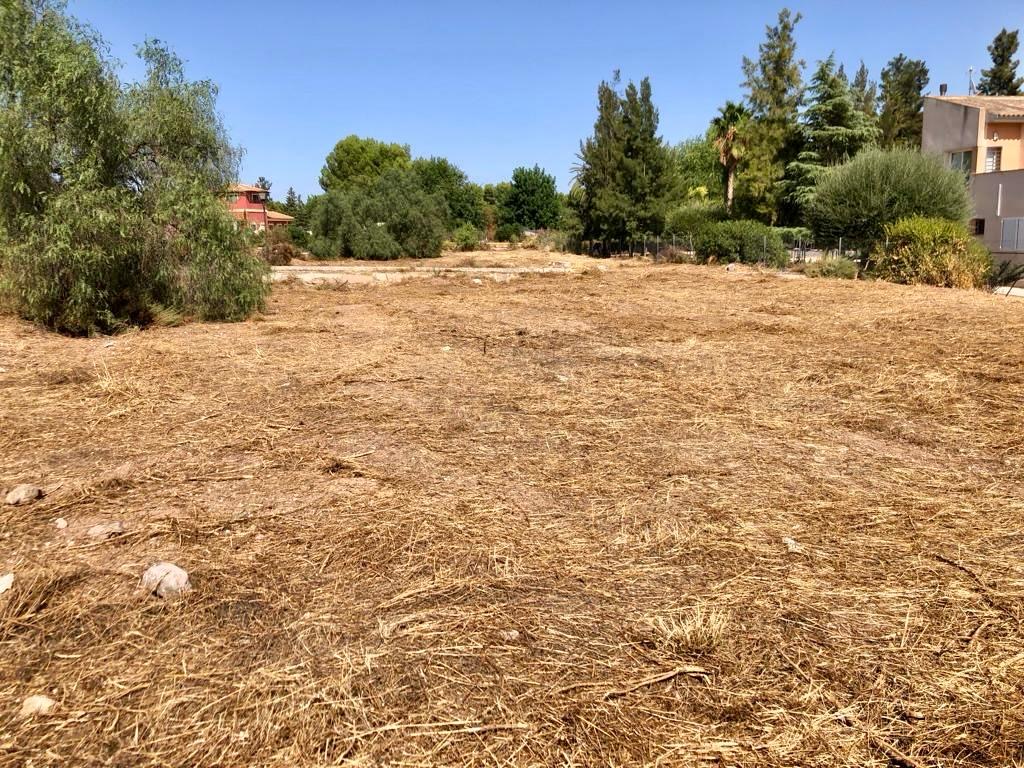 Venta Dos Parcelas Urbanizables En El Rulo, Totana - imagen 6