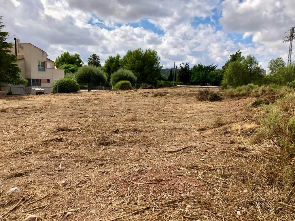 Venta Dos Parcelas Urbanizables En El Rulo, Totana - imagen 8