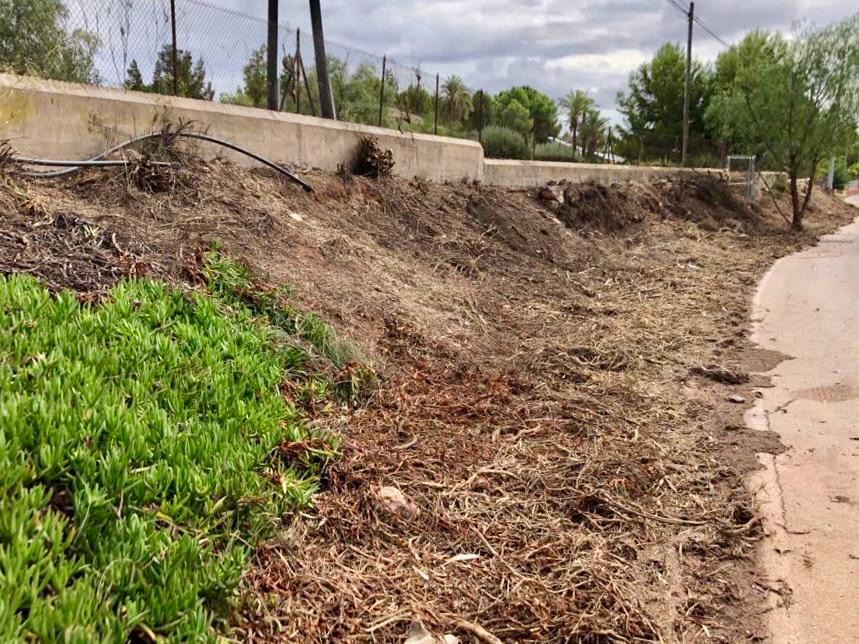Venta Dos Parcelas Urbanizables En El Rulo, Totana - imagen 11
