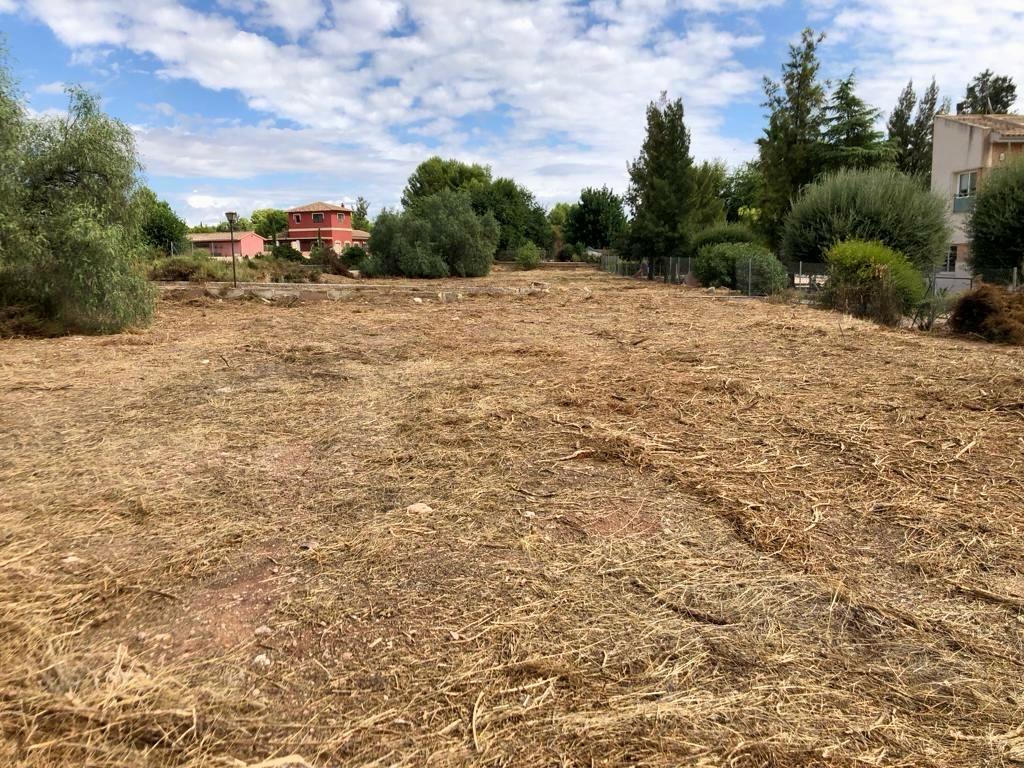 Venta Dos Parcelas Urbanizables En El Rulo, Totana - imagen 4