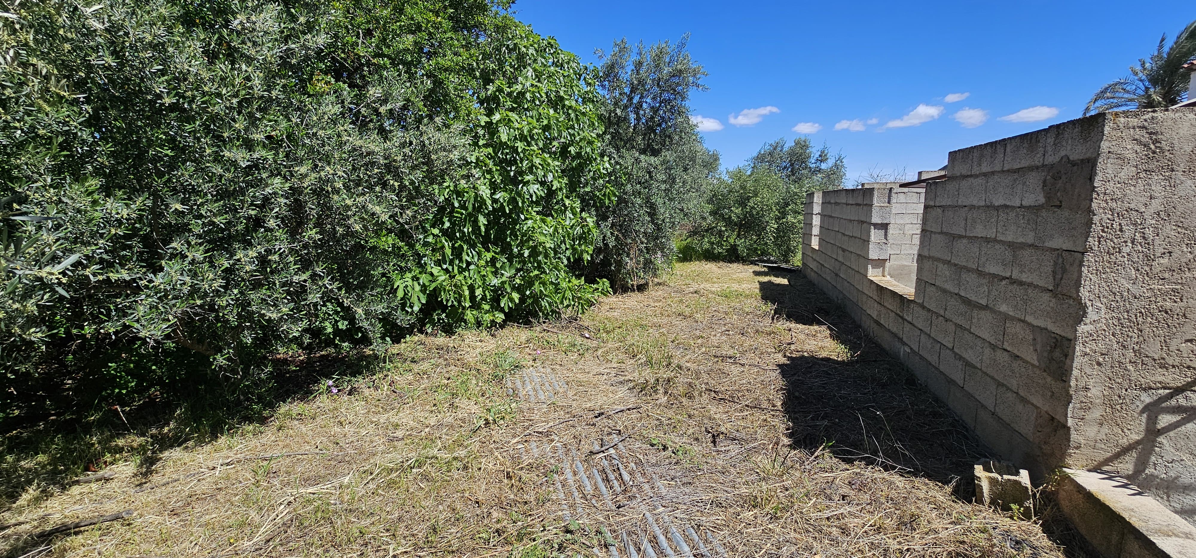 Venta Chalet en La Costera, Totana - imagen 10