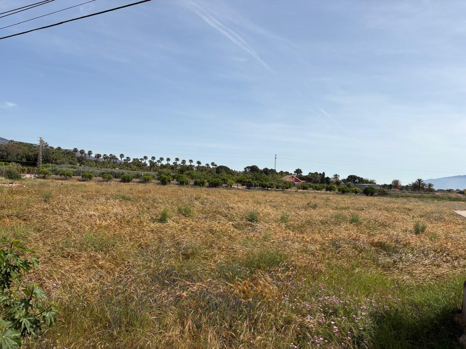 Venta de Parcelas Urbanizables en El Rulo Totana - imagen 2