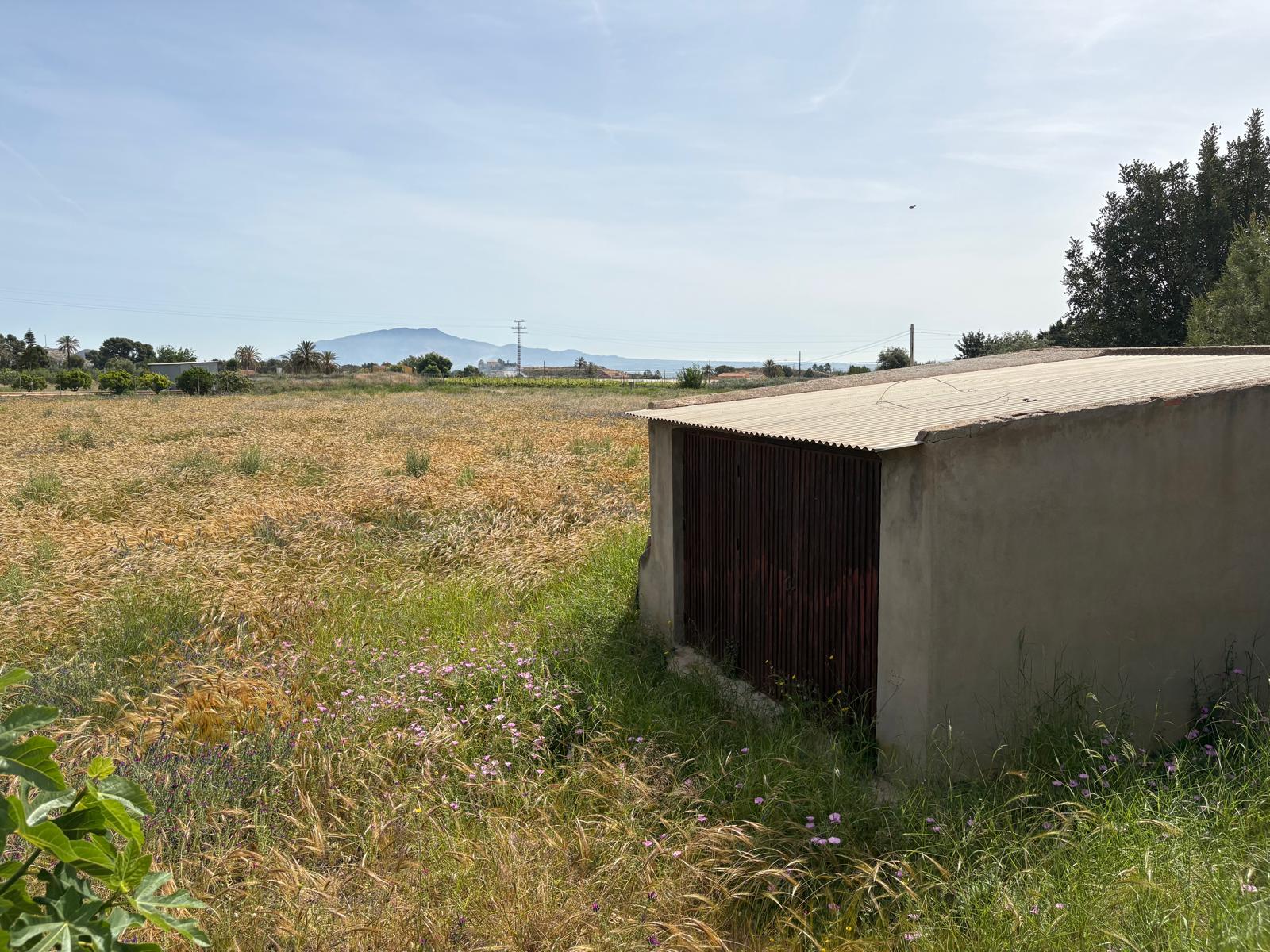 Venta de Parcelas Urbanizables en El Rulo Totana - imagen 3