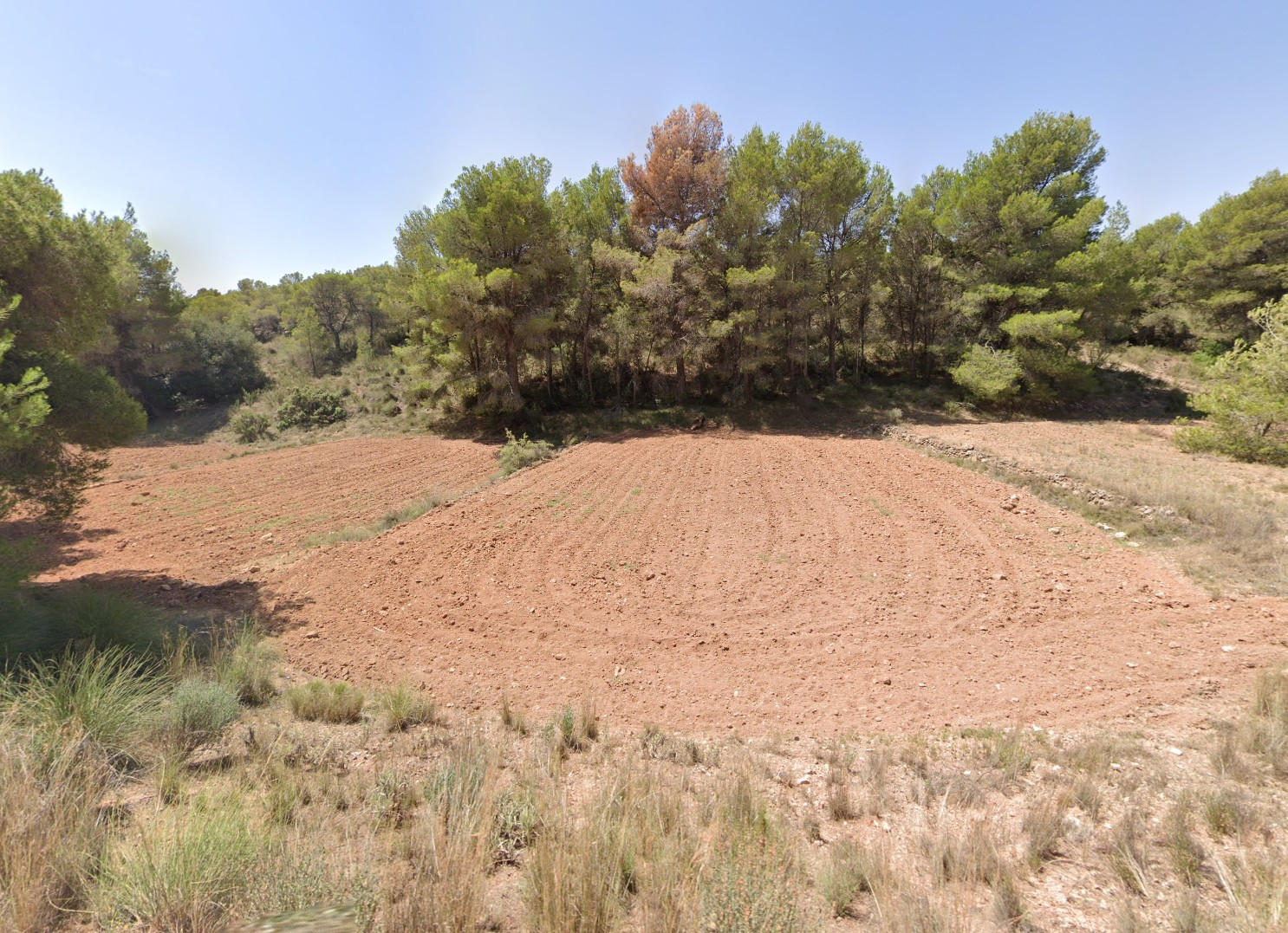 Venta 2 Parcelas en Aledo Zona de Las Alquerias - imagen 2