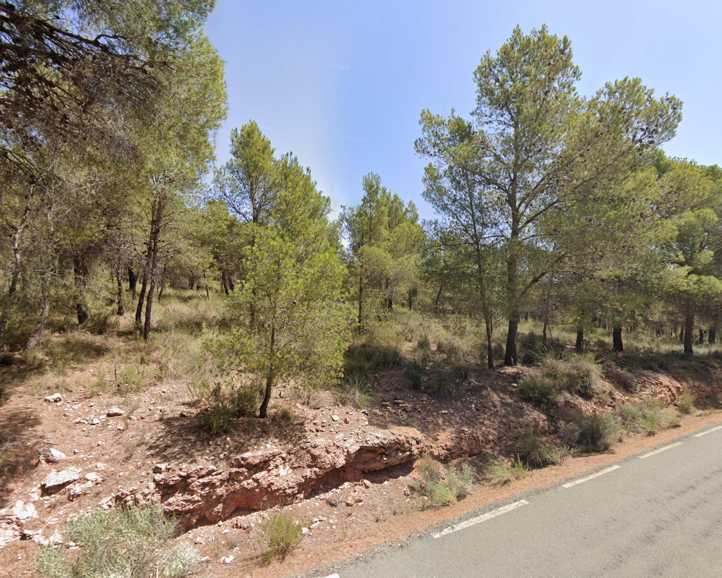 Venta Tres Parcelas Rústicas en Aledo Zona Mandola - imagen 3