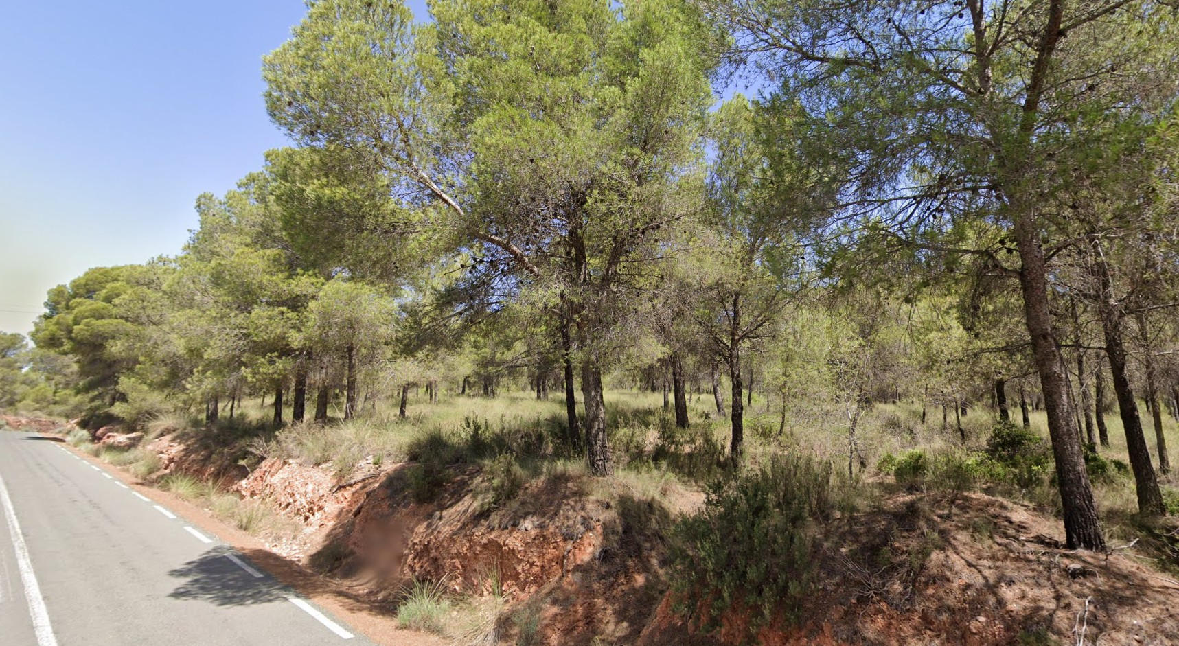 Venta Tres Parcelas Rústicas en Aledo Zona Mandola - imagen 4