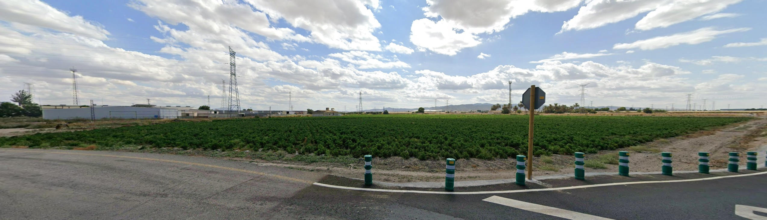 Venta Finca en Regadío Ctra Mazarrón, Totana - imagen 3