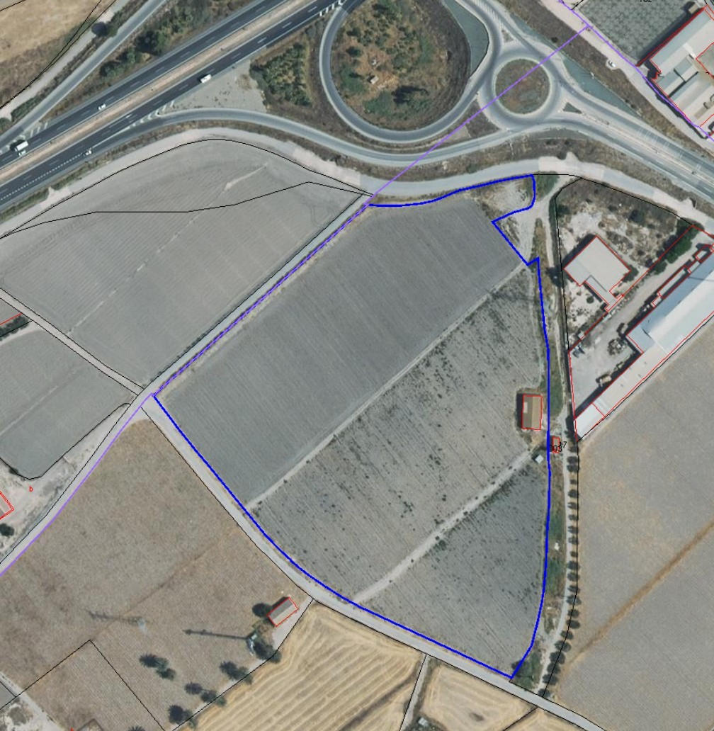 Venta Finca en Regadío Ctra Mazarrón, Totana - imagen 5