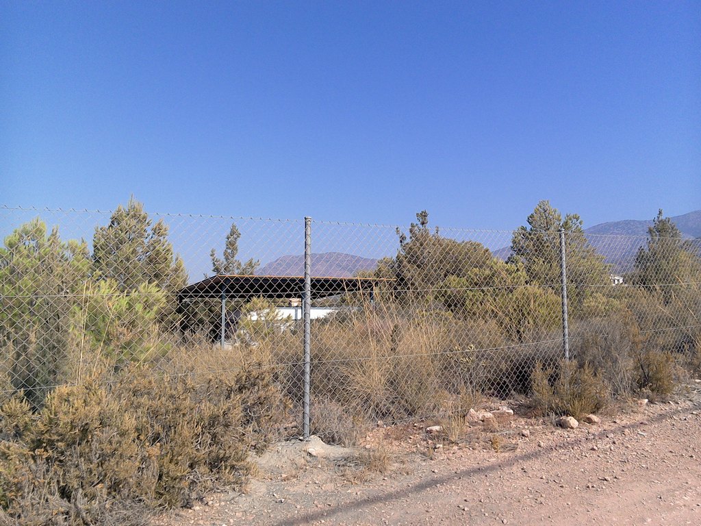 Venta Finca (Aledo) + Caseta Aperos
