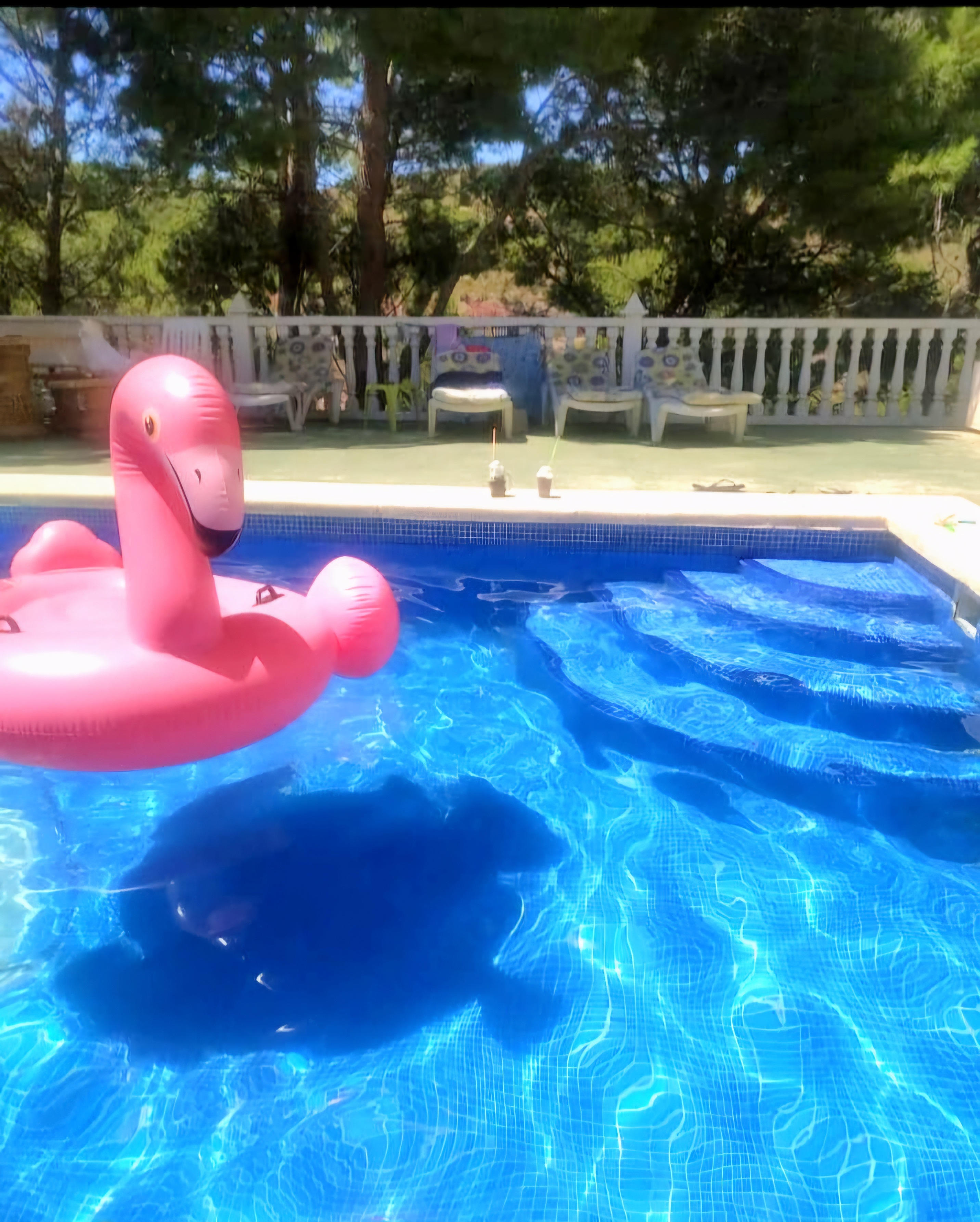 Venta Chalet en Montisol, Aledo - imagen 33