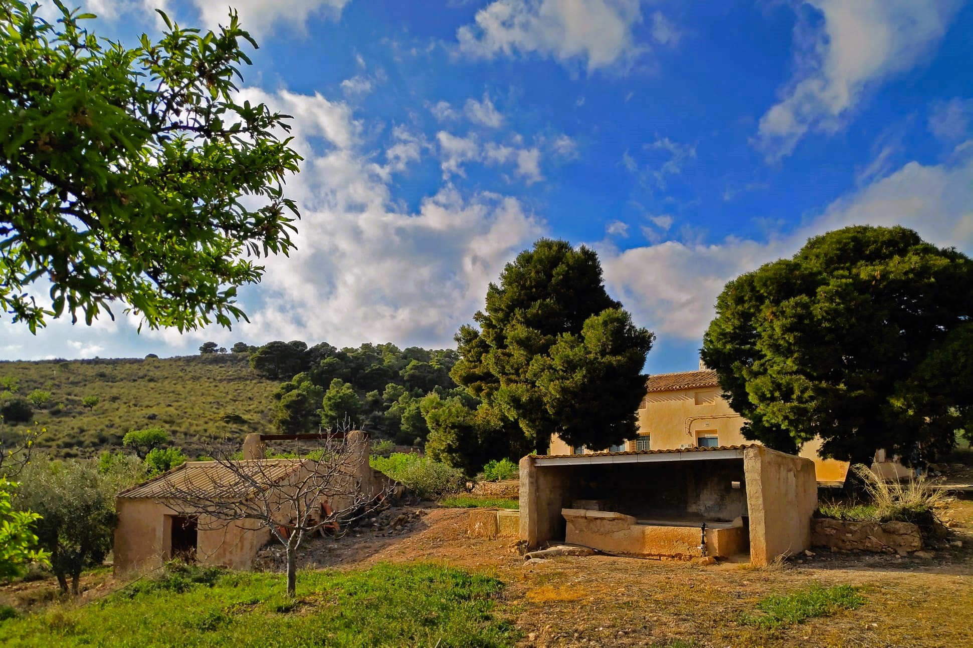 Venta Finca Rústica en Sierra Espuña, Totana - imagen 21