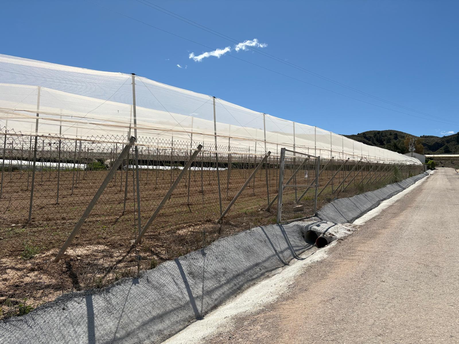 Venta Parcela en Los Secanos Totana - imagen 2