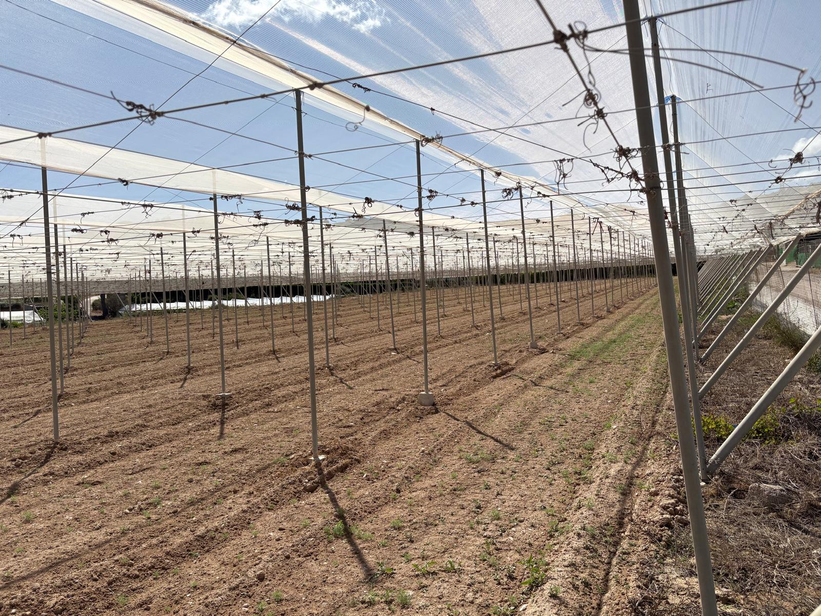 Venta Parcela en Los Secanos Totana - imagen 4