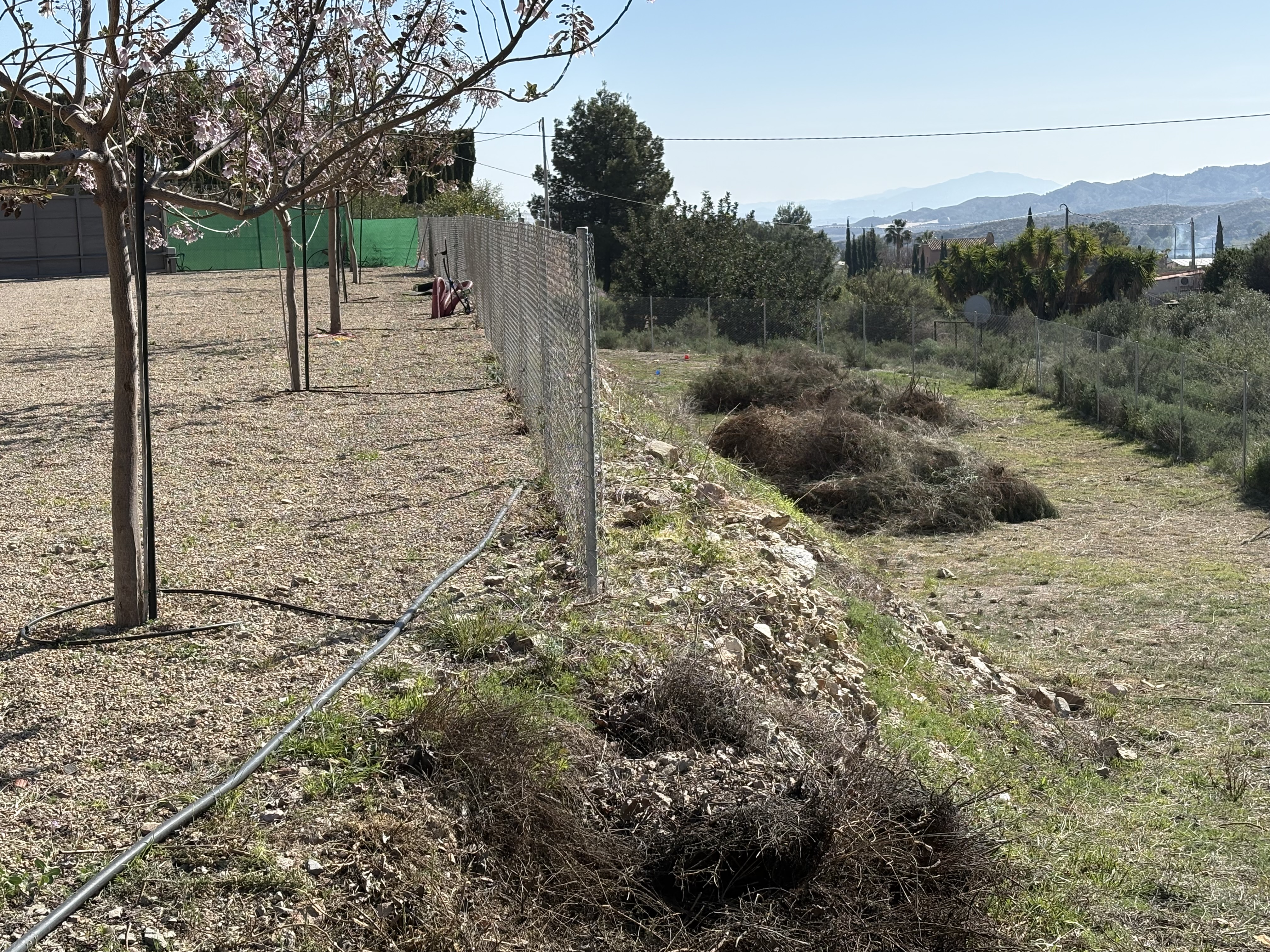 Venta Parcela Edificable La Huerta Totana - imagen 17